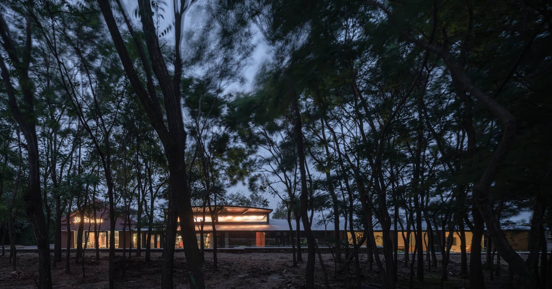 Modern residential exterior with a walkway surrounded by trees.