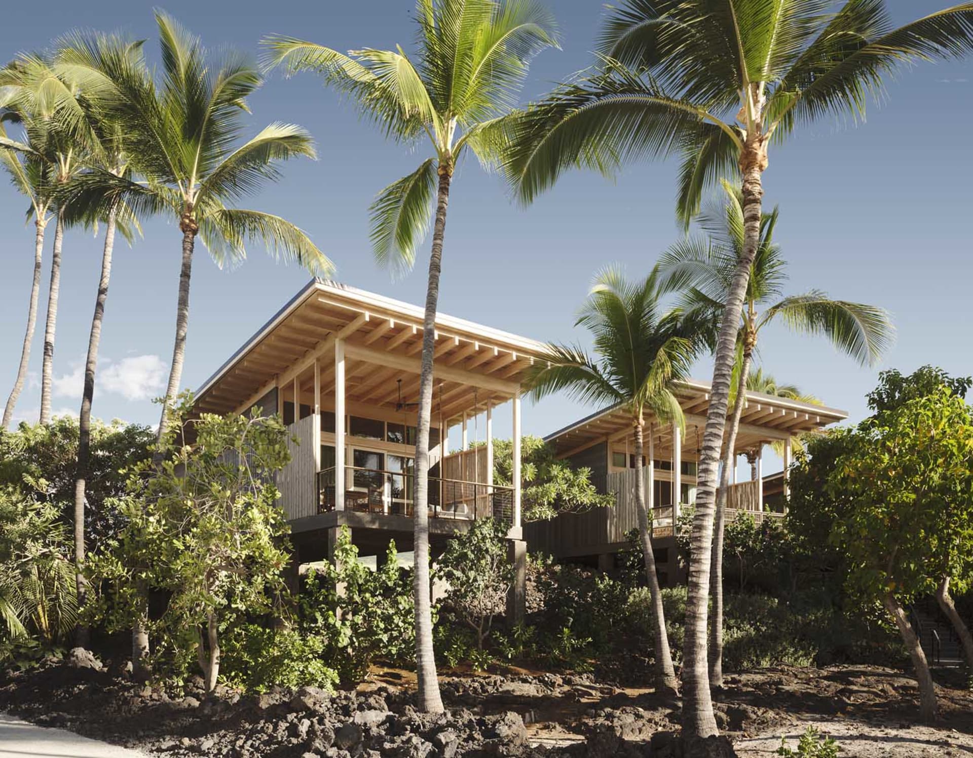 A modern residential house with a wooden frame and surrounded by tropical plants.