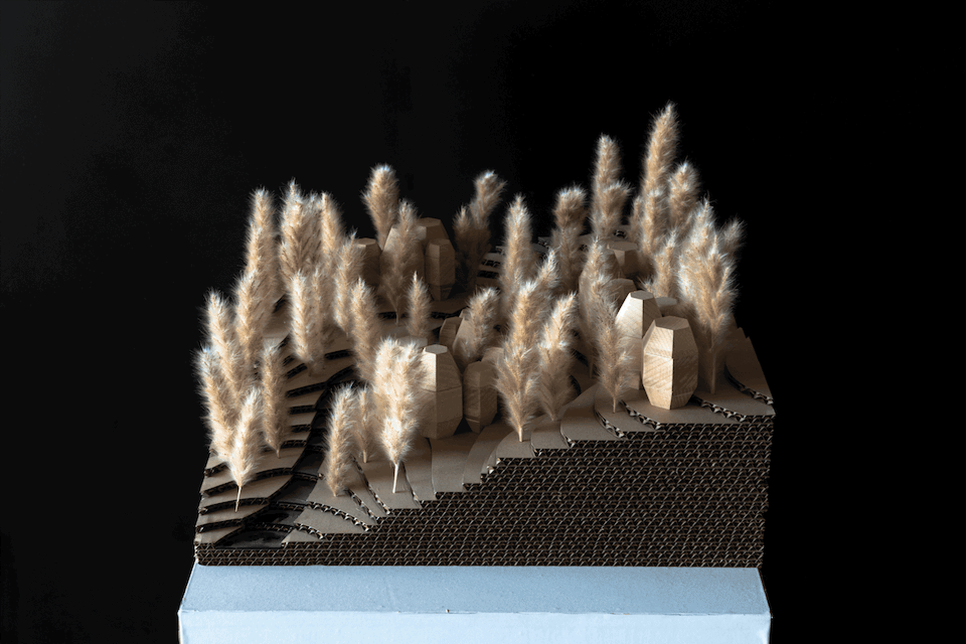 以紙板製成的3D建築模型,搭配狼尾草元素,置於黑色背景前。