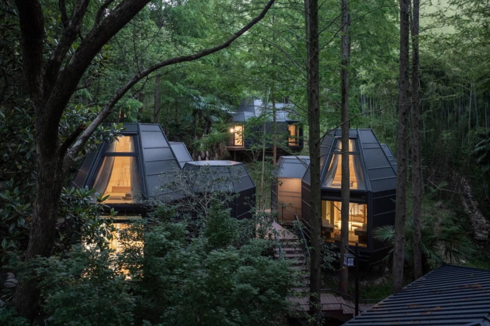 Modern residential buildings featuring transparent glass walls and roofs in a forest setting.