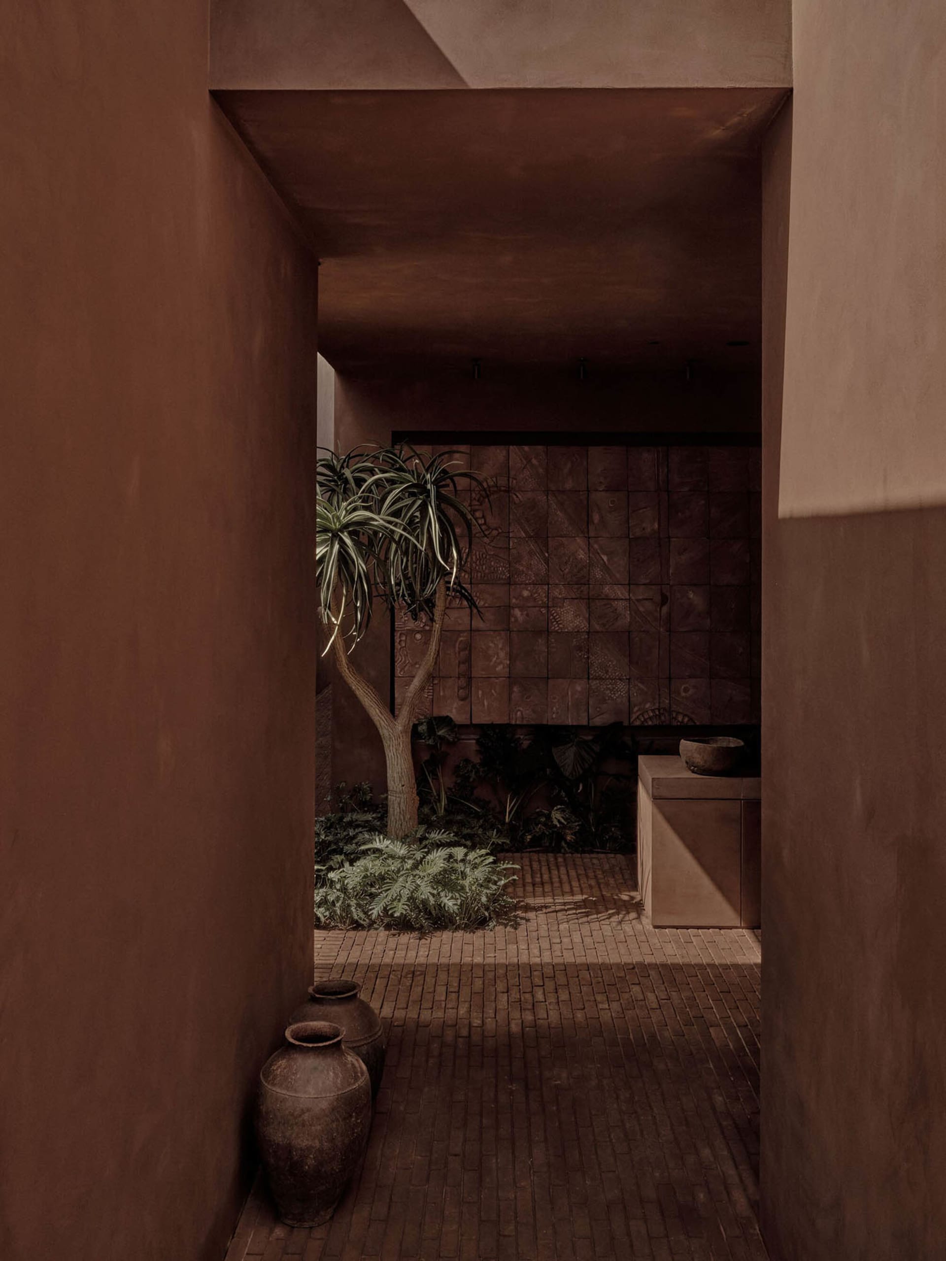 An entranceway with a concrete pathway and minimalist design elements.