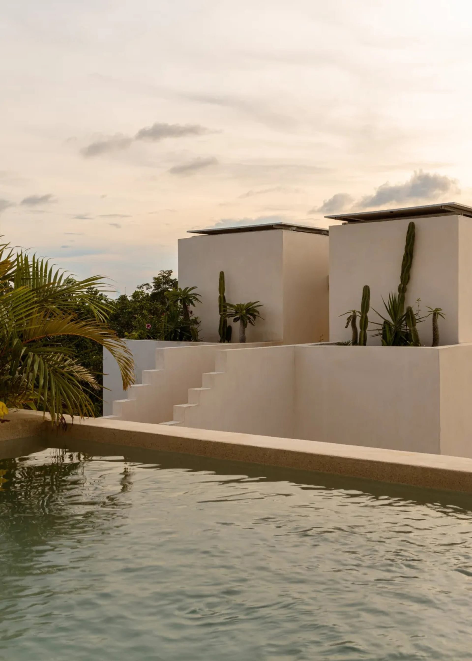 A modern residential exterior featuring white concrete walls, stairs, and planters filled with greenery, against a backdrop o
