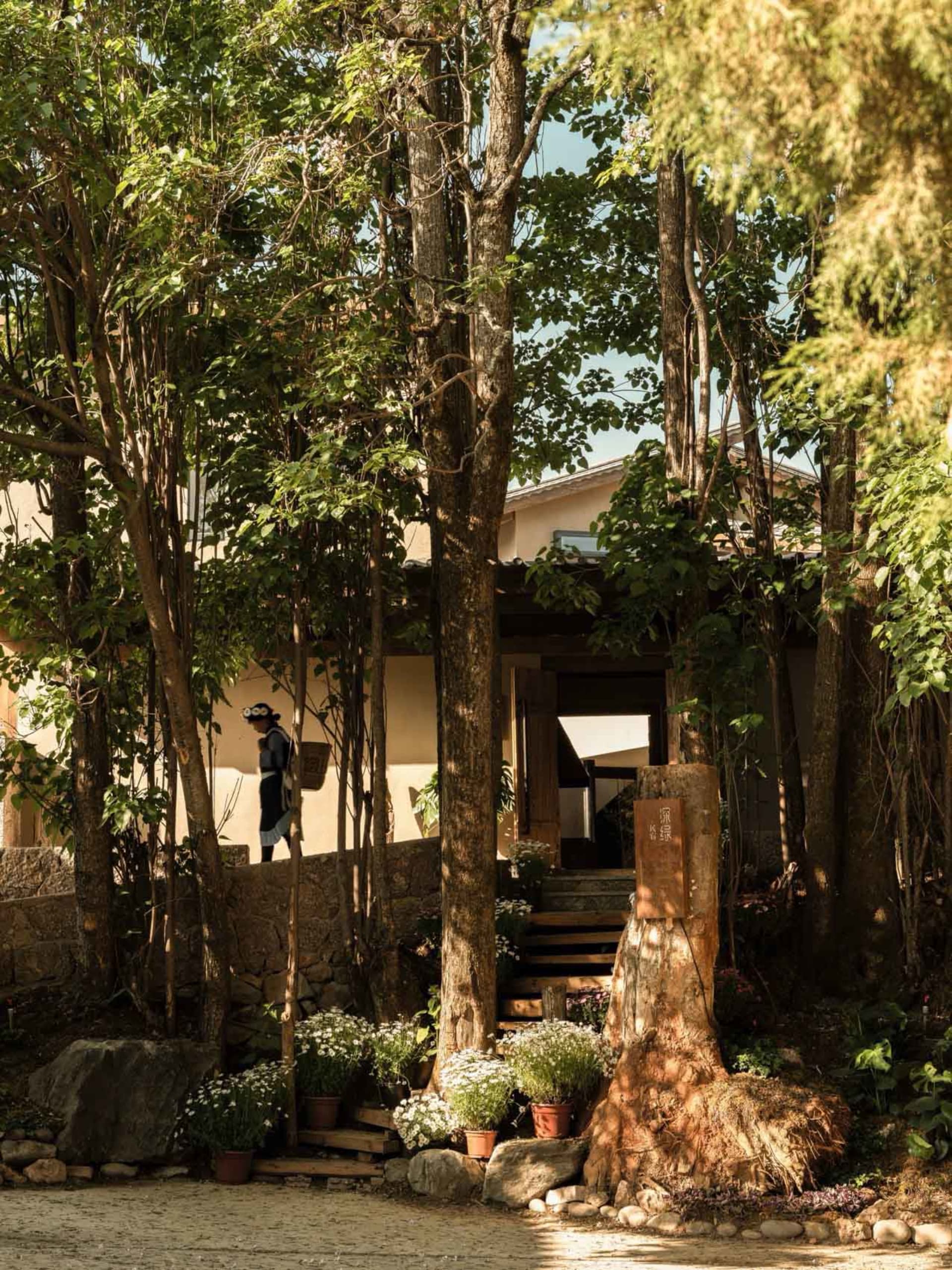 A rustic outdoor space featuring wooden walkways and greenery.