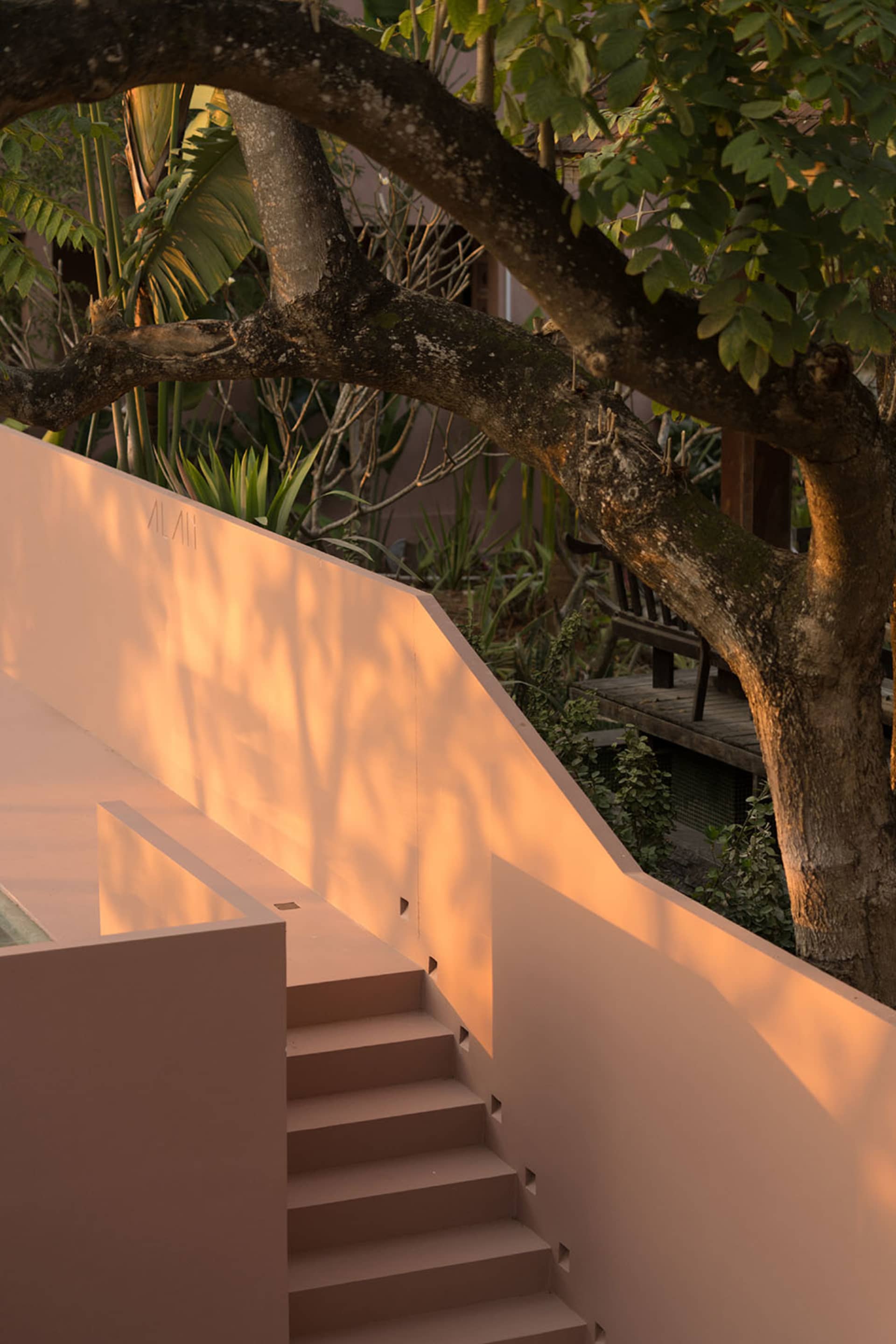 Concrete staircase with minimalistic design and shadow play created by a large nearby tree.