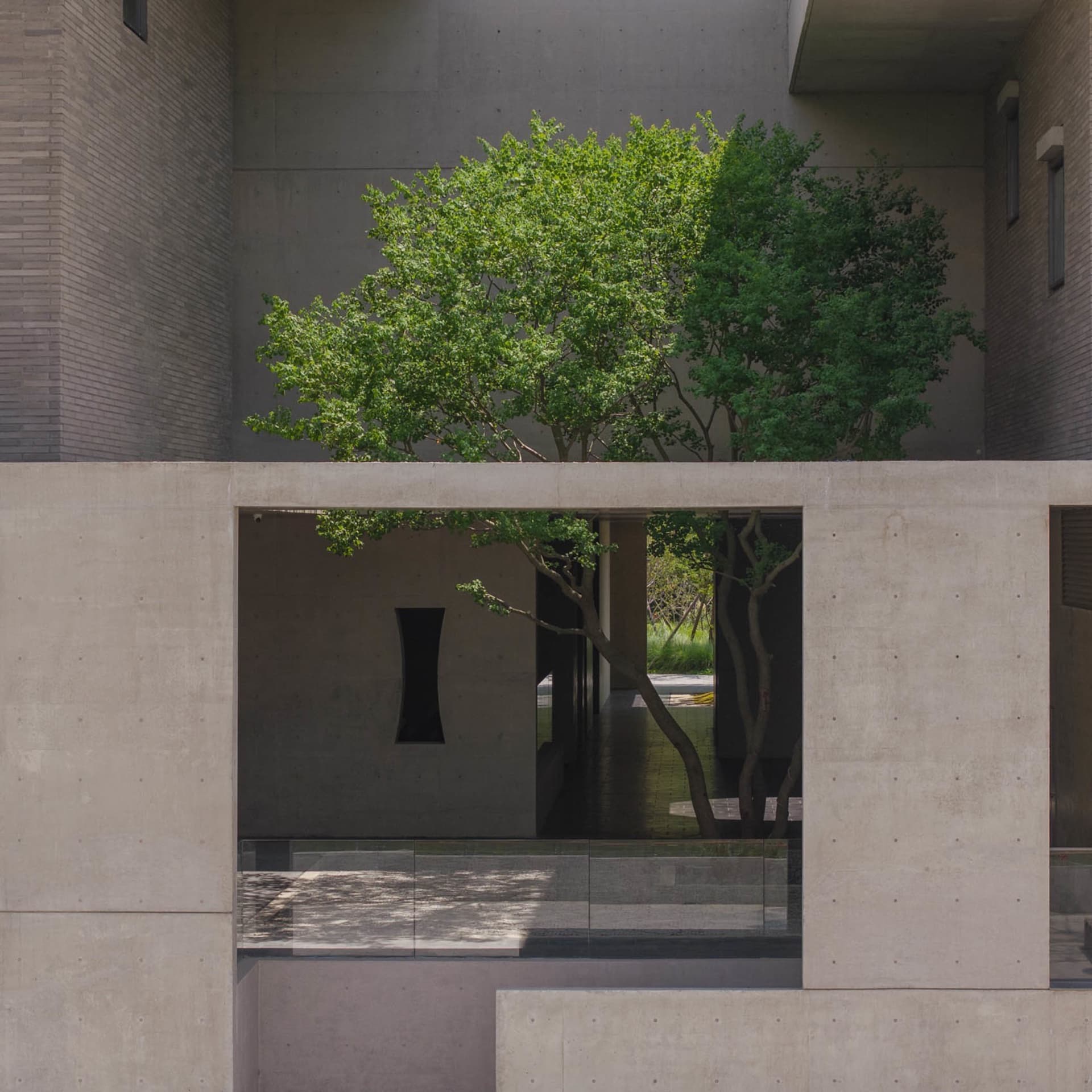 Modern architectural space with concrete walls and a tree on a balcony.