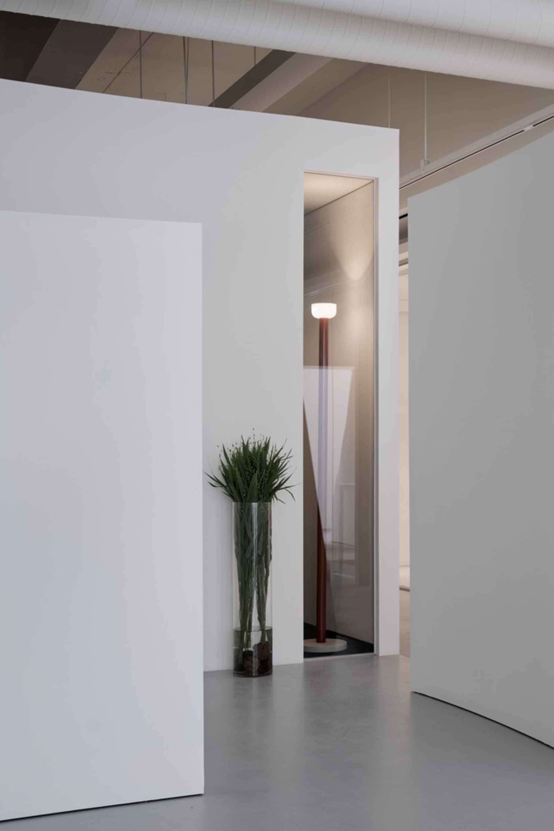Modern minimalist interior space featuring exposed concrete walls and floor, with a tall floor lamp and green plant