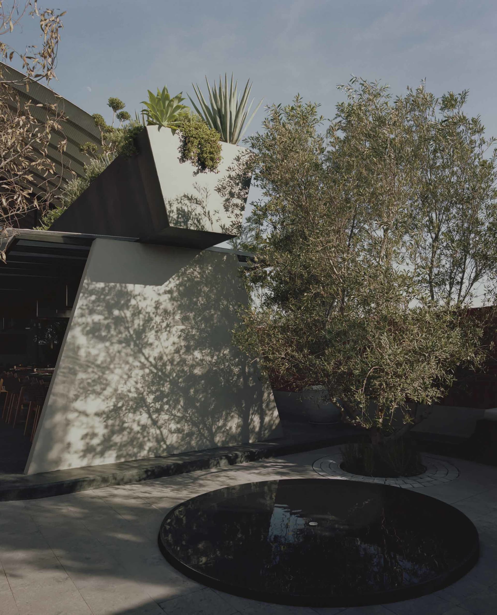 A modern concrete landscape design featuring a circular water feature, greenery, and geometric planters.