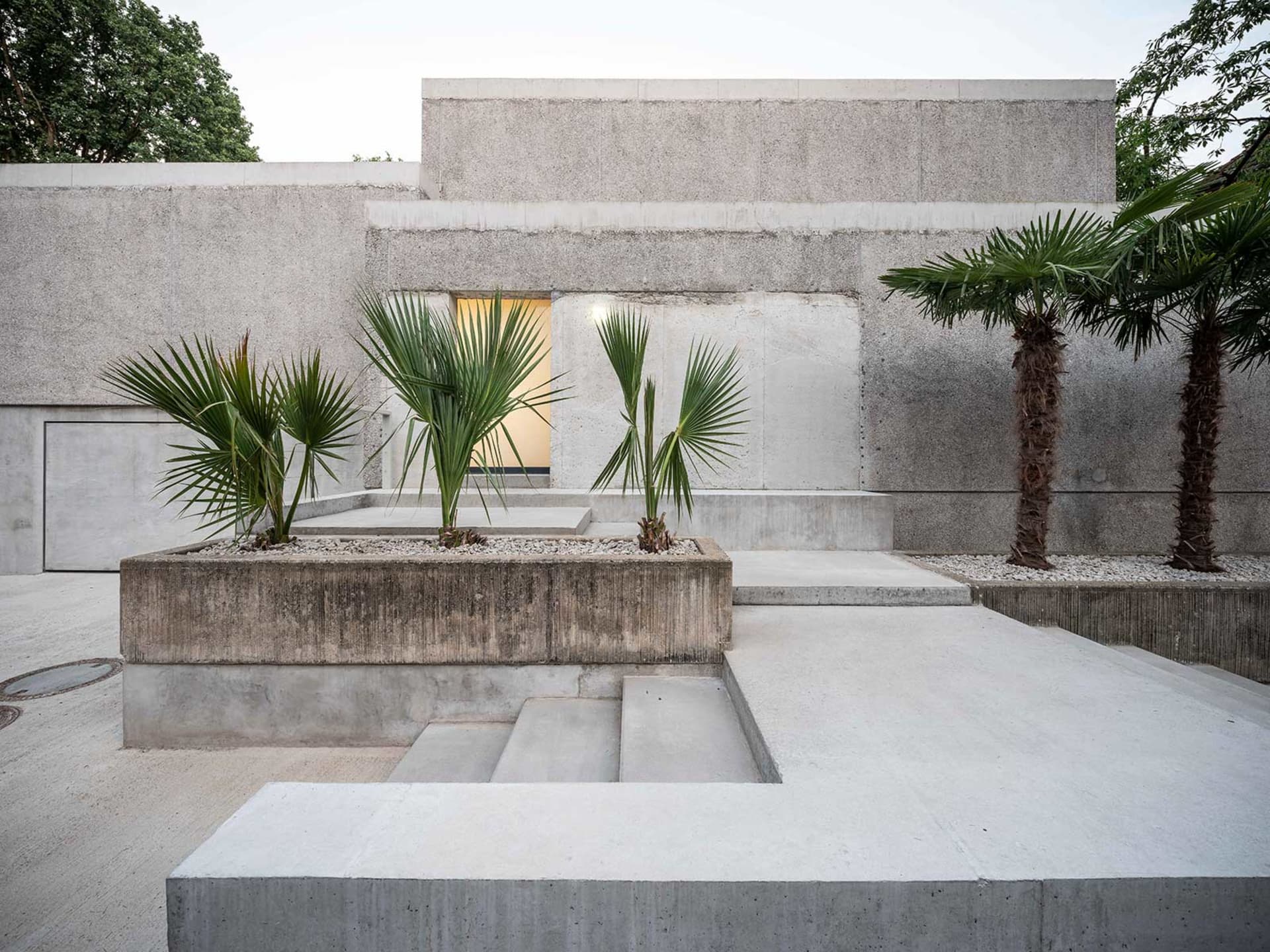 Concrete landscape featuring palm trees and minimalist design.