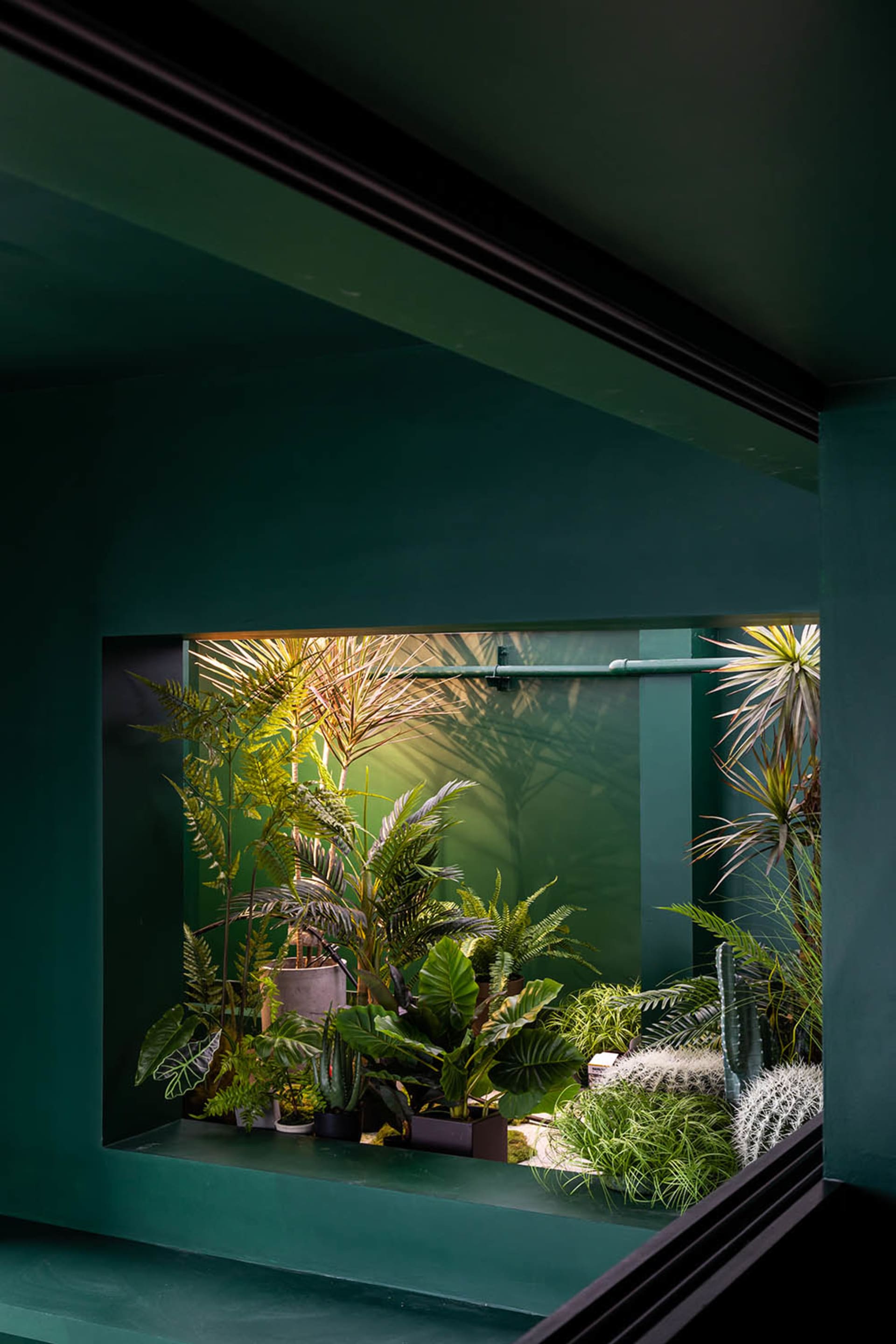 A modern living room with a greenhouse filled with various plants.