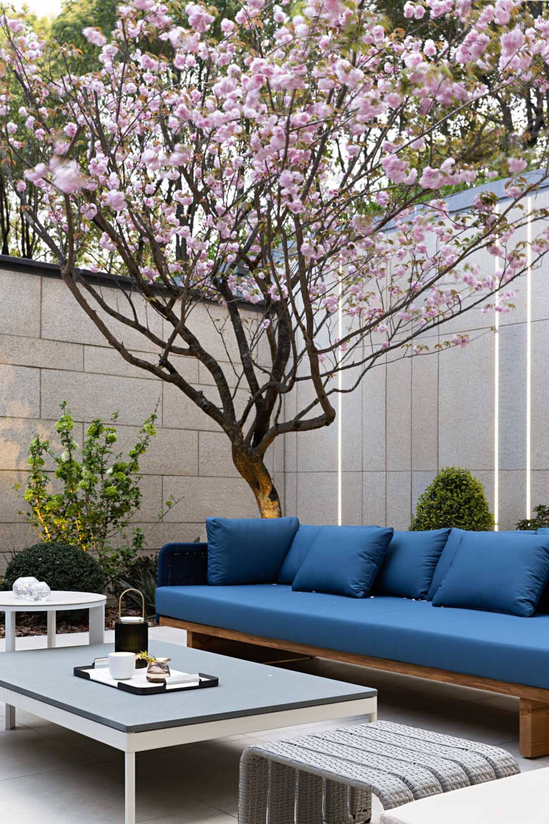 Modern outdoor living space featuring a blue sofa, wooden bench, and blush pink flowering trees.