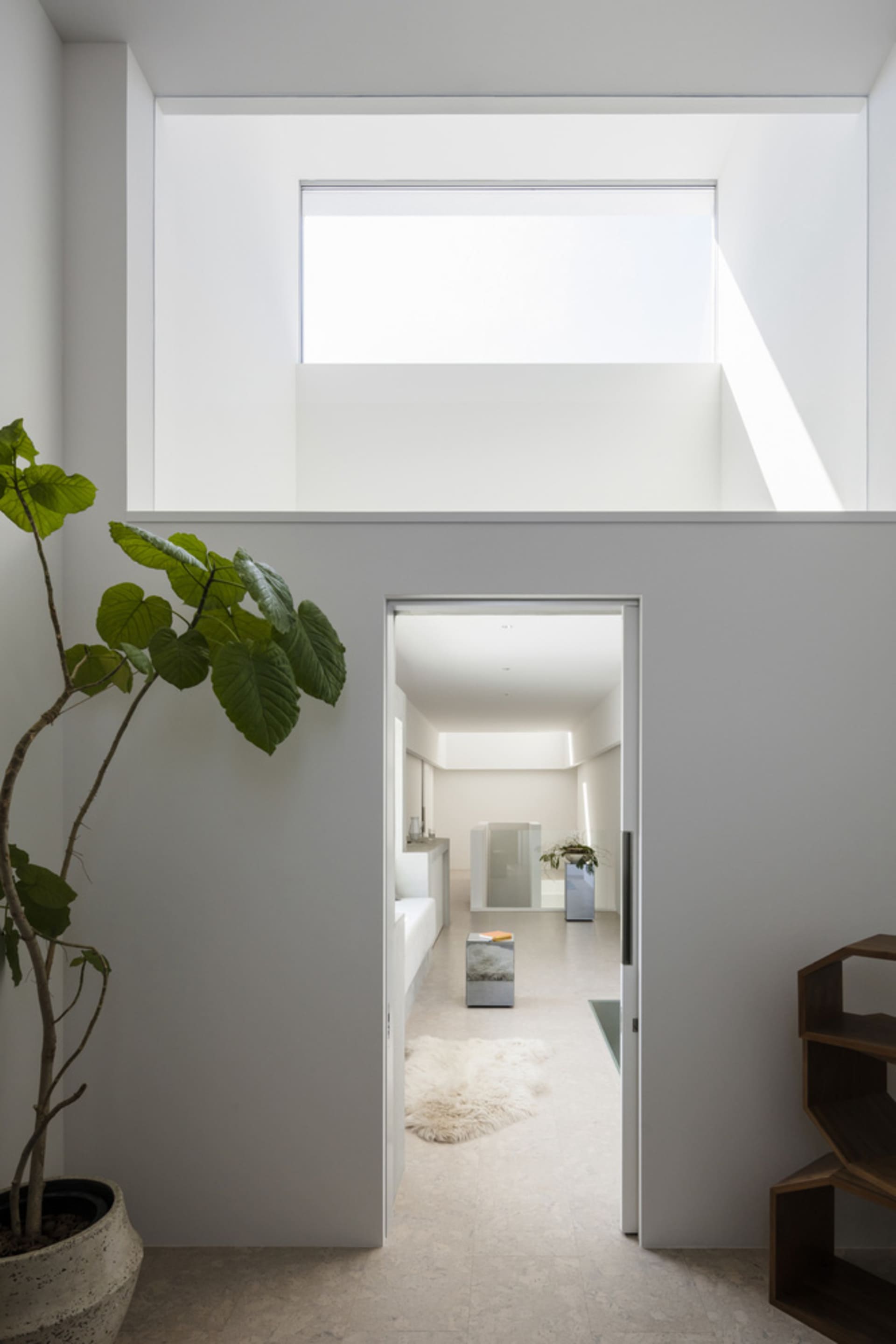 Modern minimalist living room with concrete walls and floor, large window, and plant.