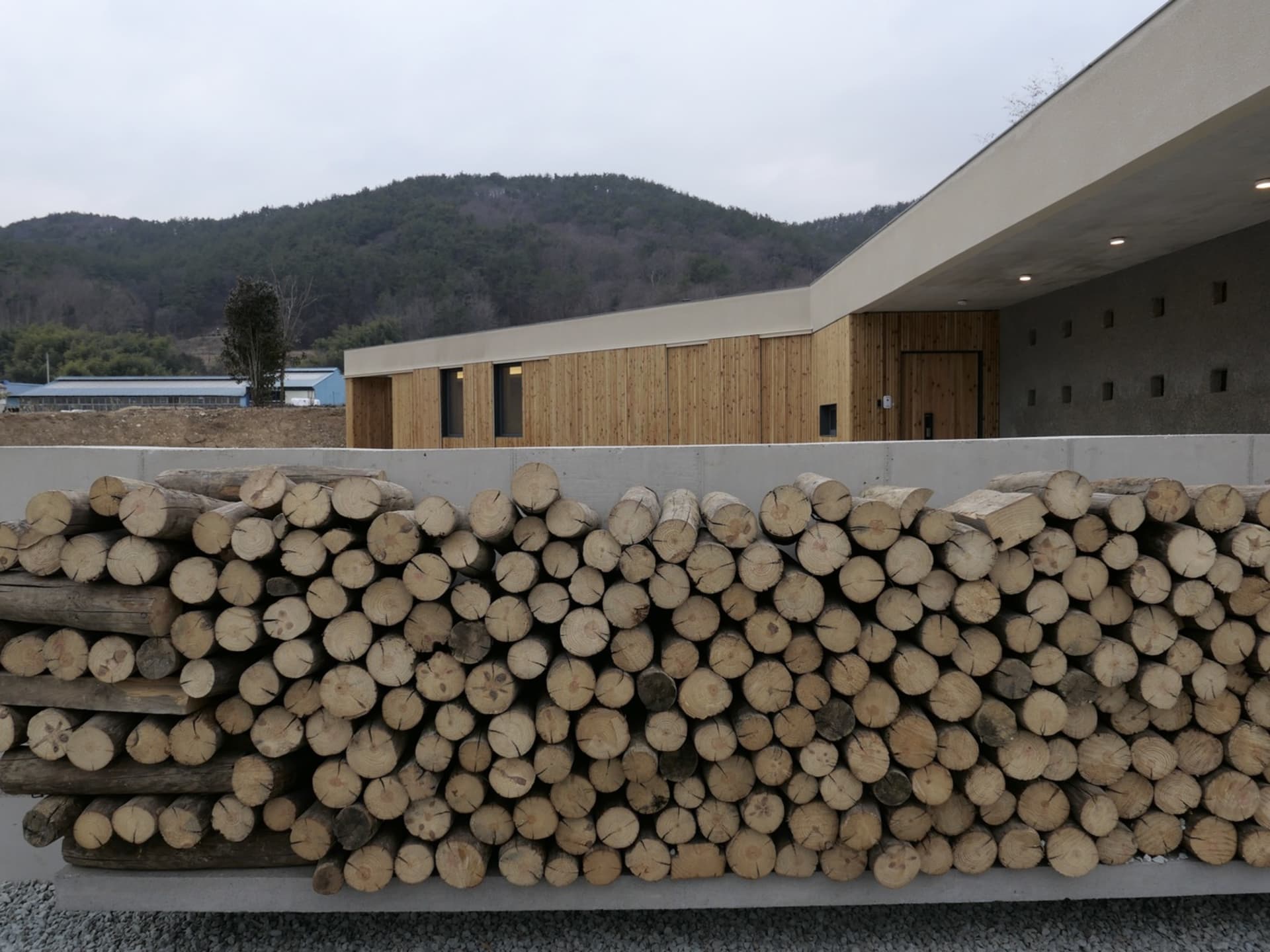 Pile of neatly stacked wooden logs in front of a modern building exterior.