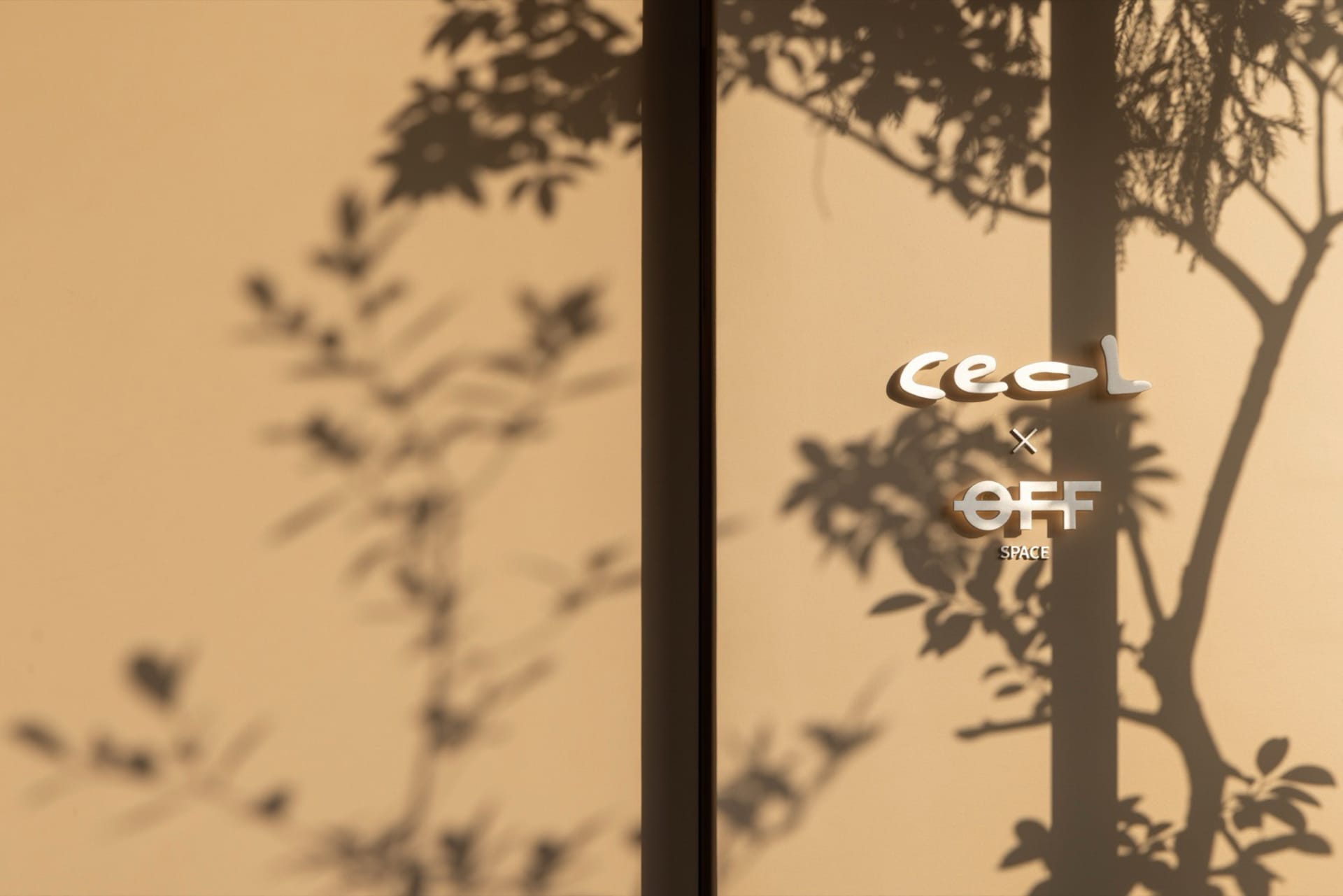 牆面上有樹影與「Ceol OFF SPACE」文字，呈現簡約設計風格。