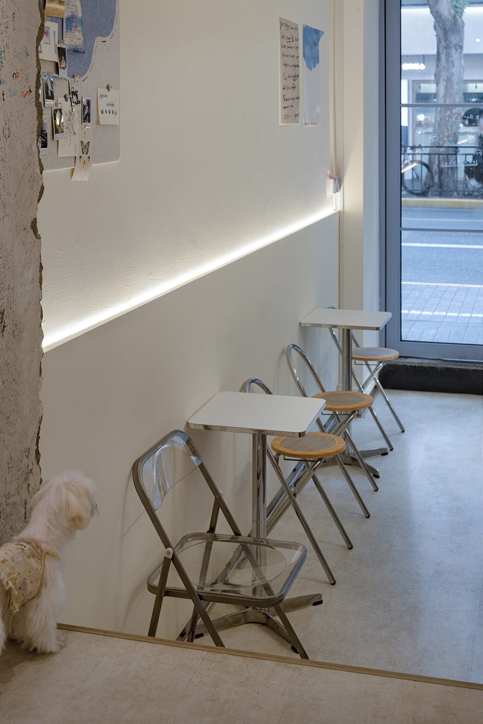 A modern cafe interior with a white wall, three chairs, and a dining table, featuring a dog sitting next to the table