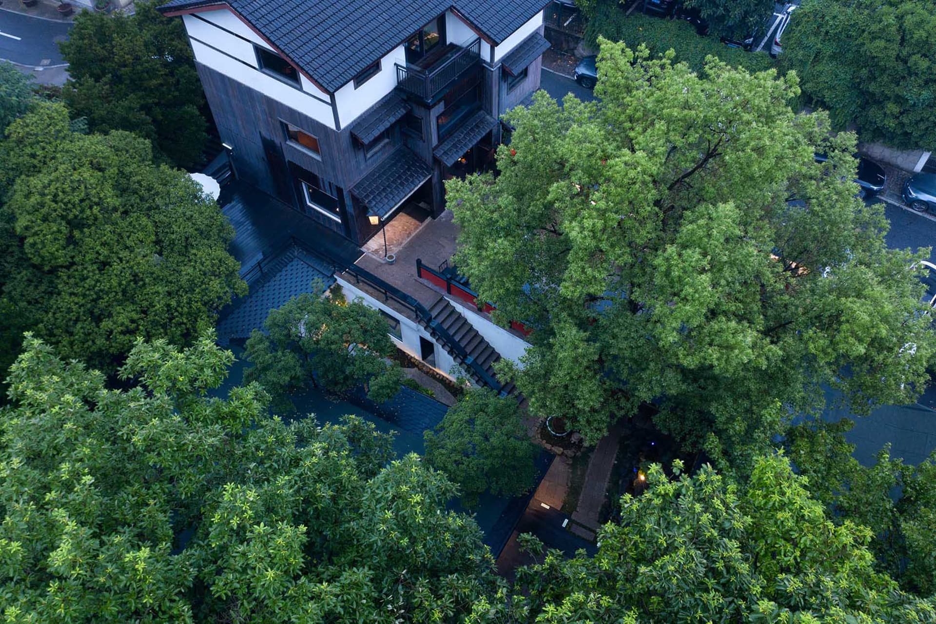 一座現代住宅，具黑色屋頂與白色牆面，周圍環繞盆栽植物，並有兩輛停放車輛的住宅環境