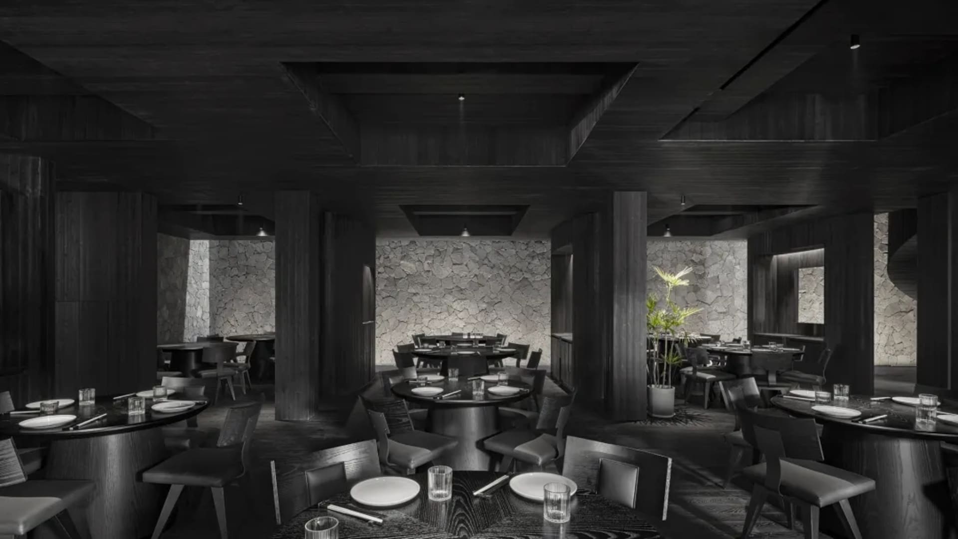Modern restaurant interior with dark wood elements, black accents, and potted plants, creating an elegant and inviting atmosphere
