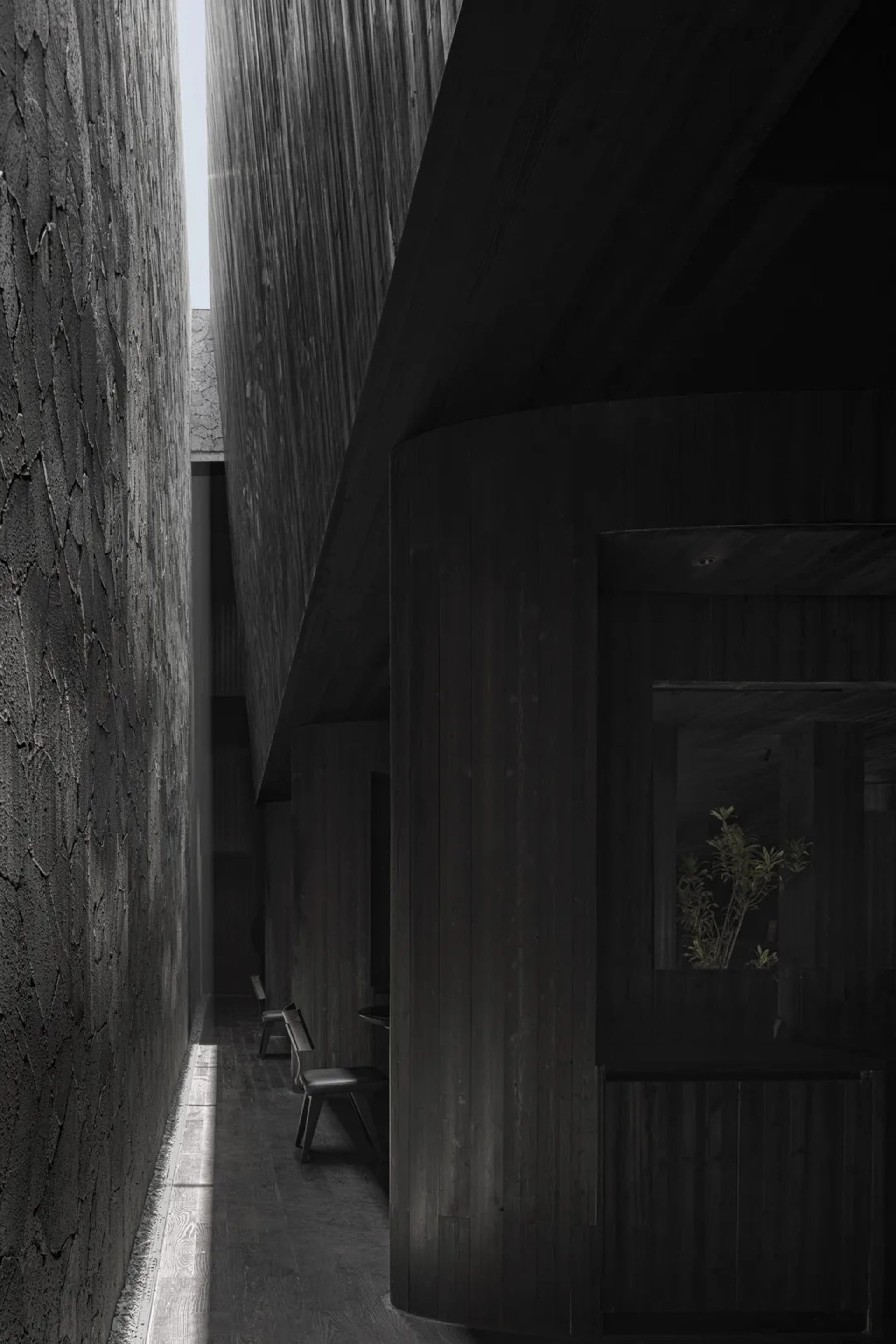 A restaurant and residential space connected by a warm and inviting wooden hallway with seating areas and a potted plant
