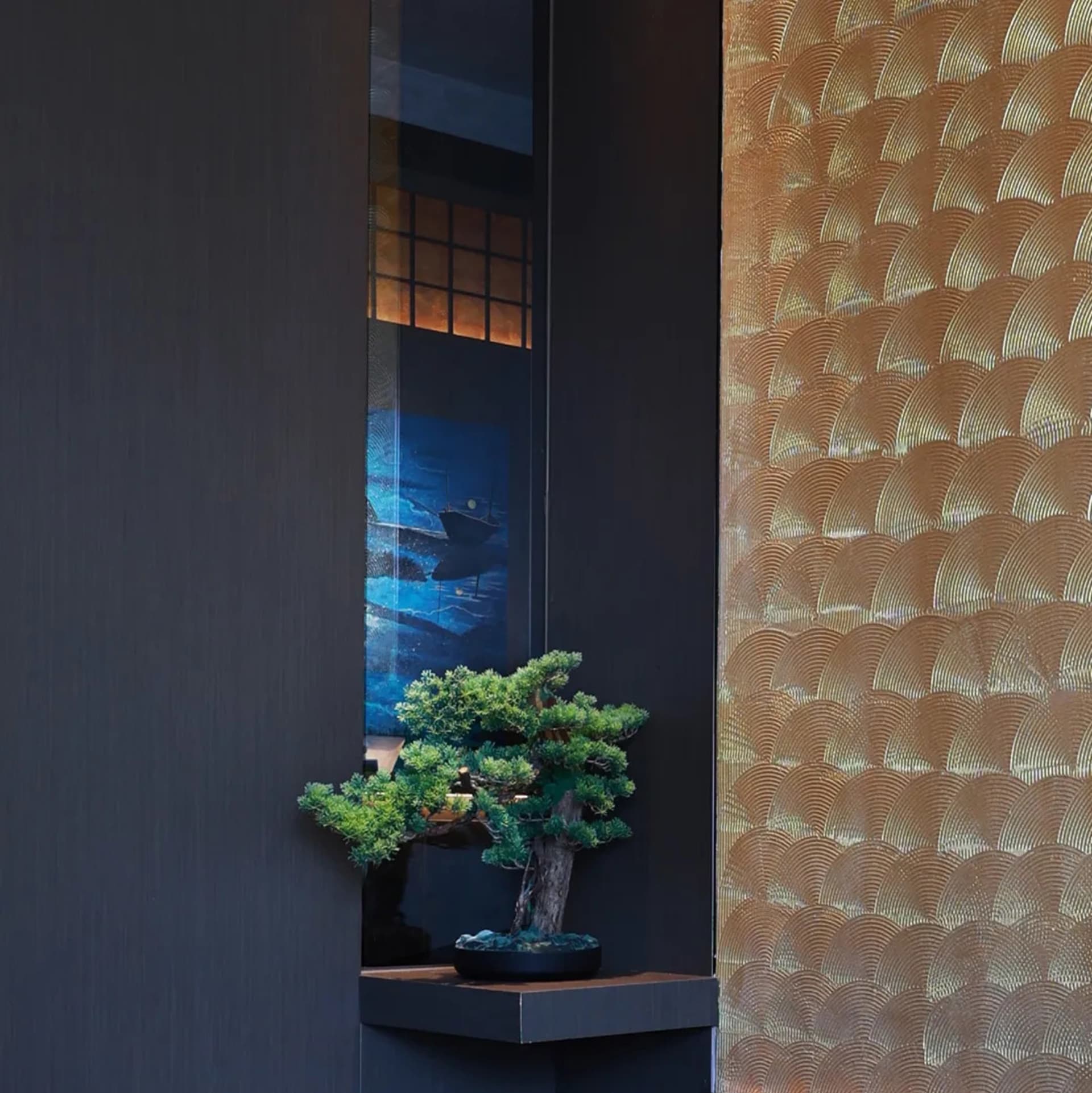 A cozy room with a dark brown wall, a gold-colored wall, a small tree in a black pot on a table, and natural light from windows
