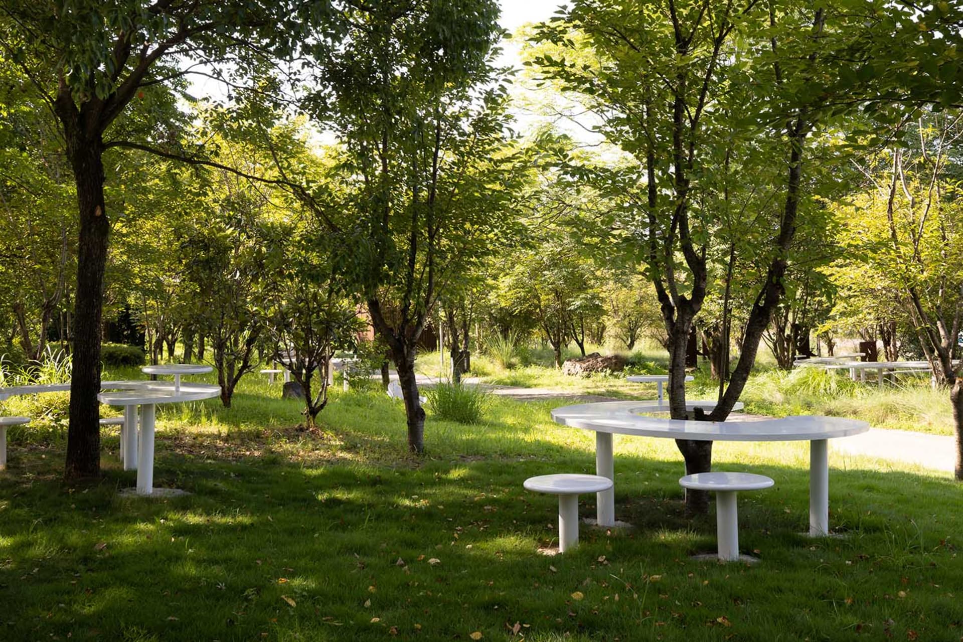 A park area with several wooden benches placed on the grass, surrounded by greenery