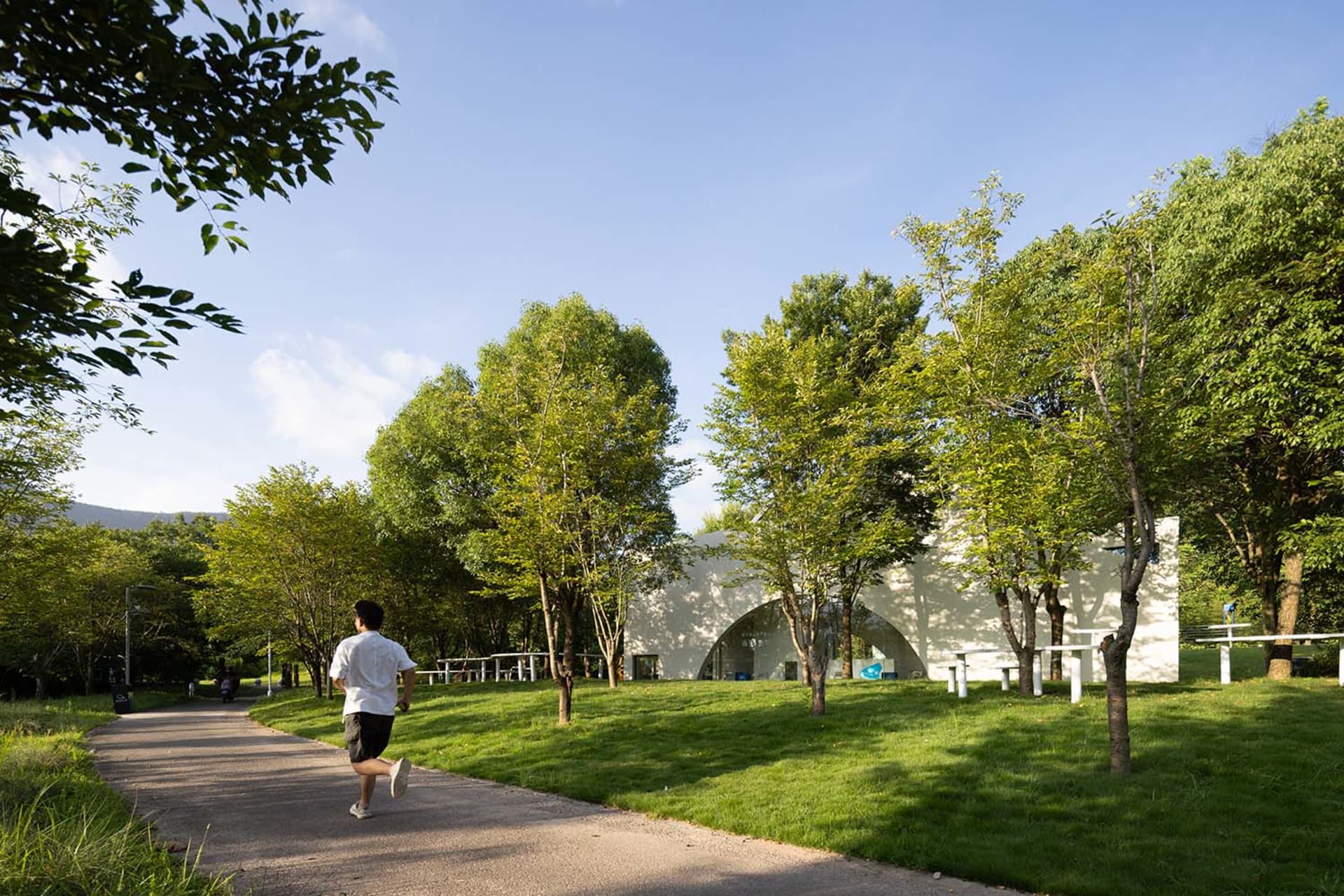 A serene open field with a path for running, surrounded by trees and benches for seating, with a relaxed atmosphere