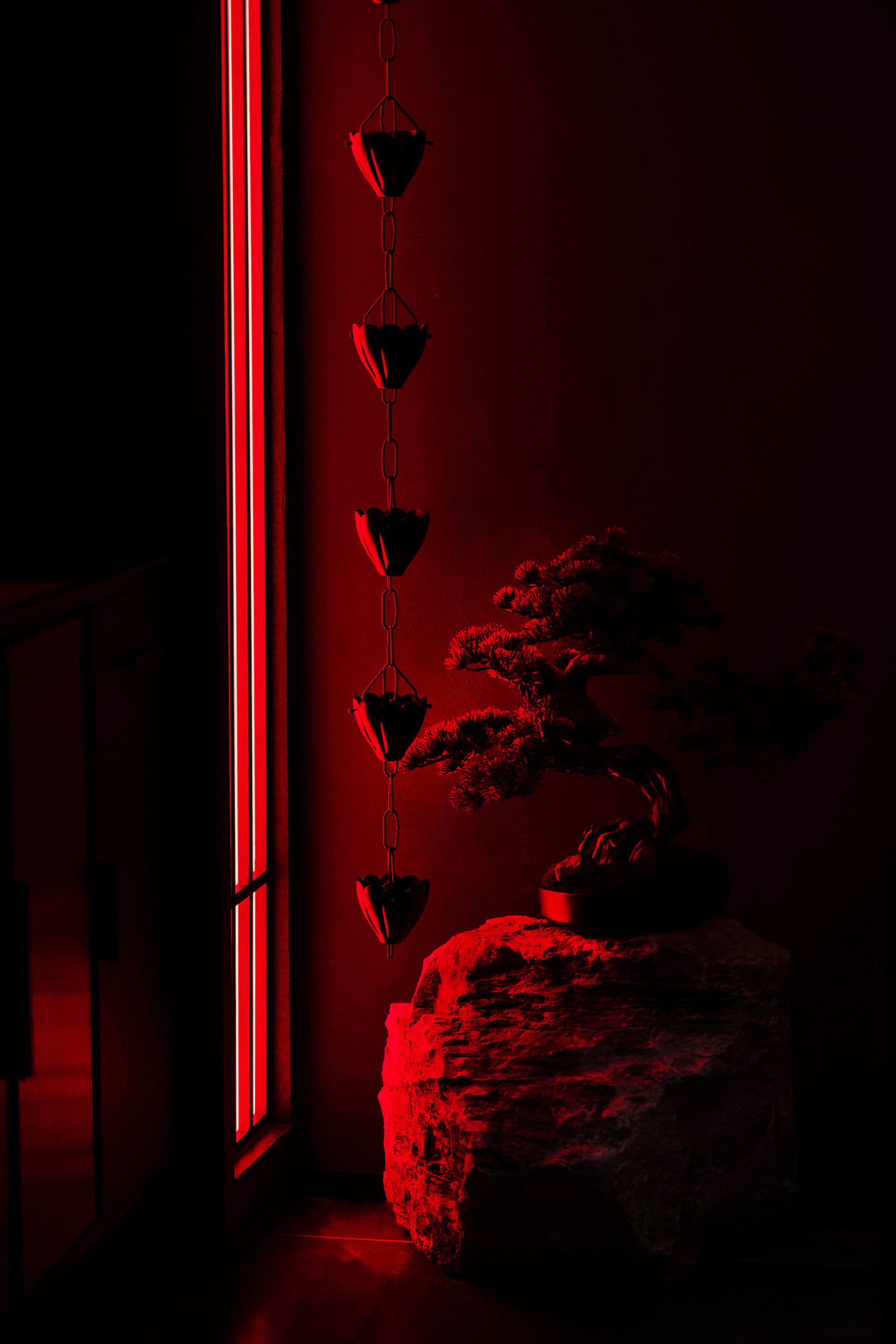 A small bonsai tree sits on a rock in front of a red wall, surrounded by heart-shaped decorations in a cozy indoor space
