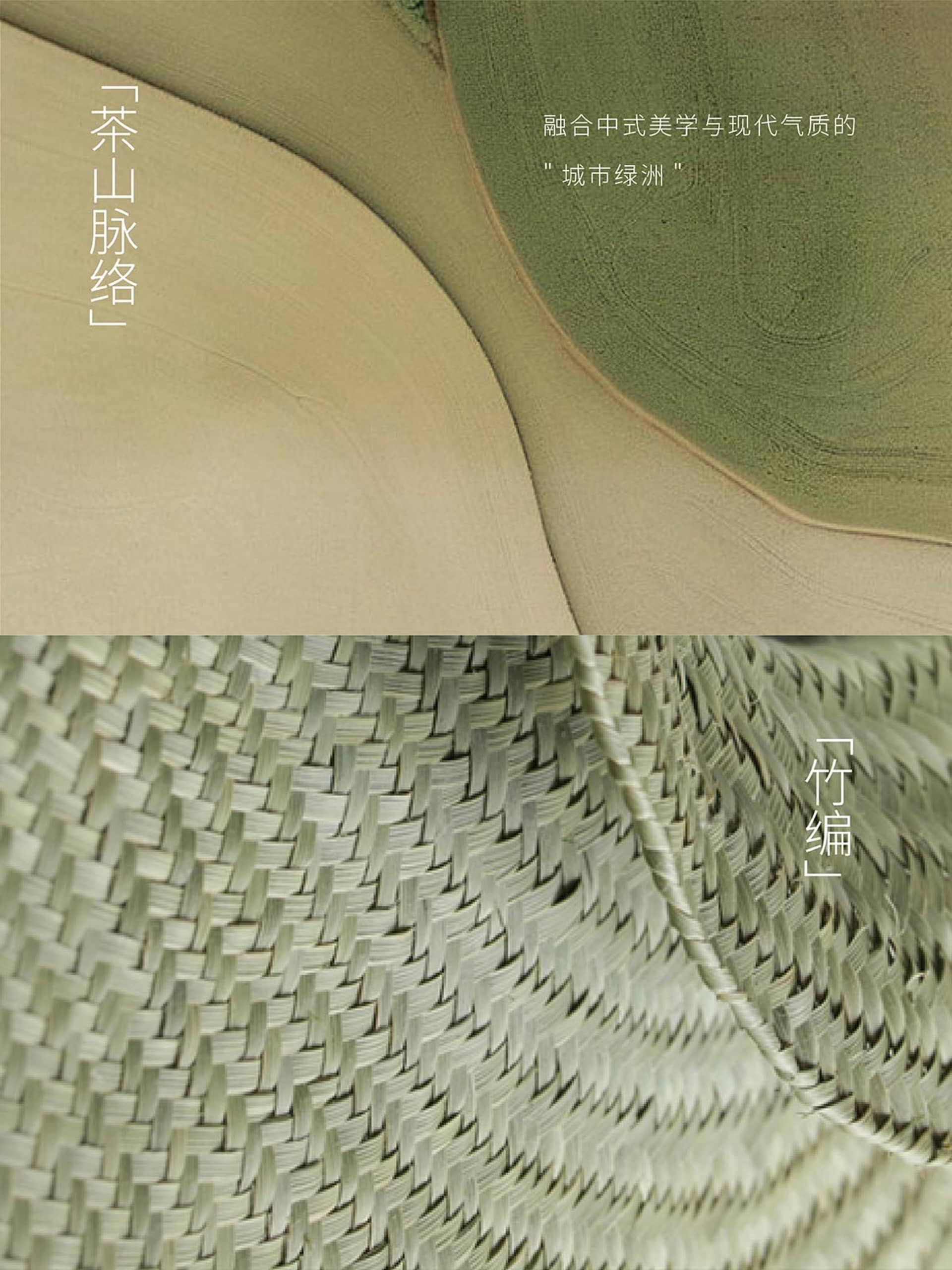 A harmonious blend of nature and modernity in an Asian-style interior design featuring a green bamboo wall with a woven pattern