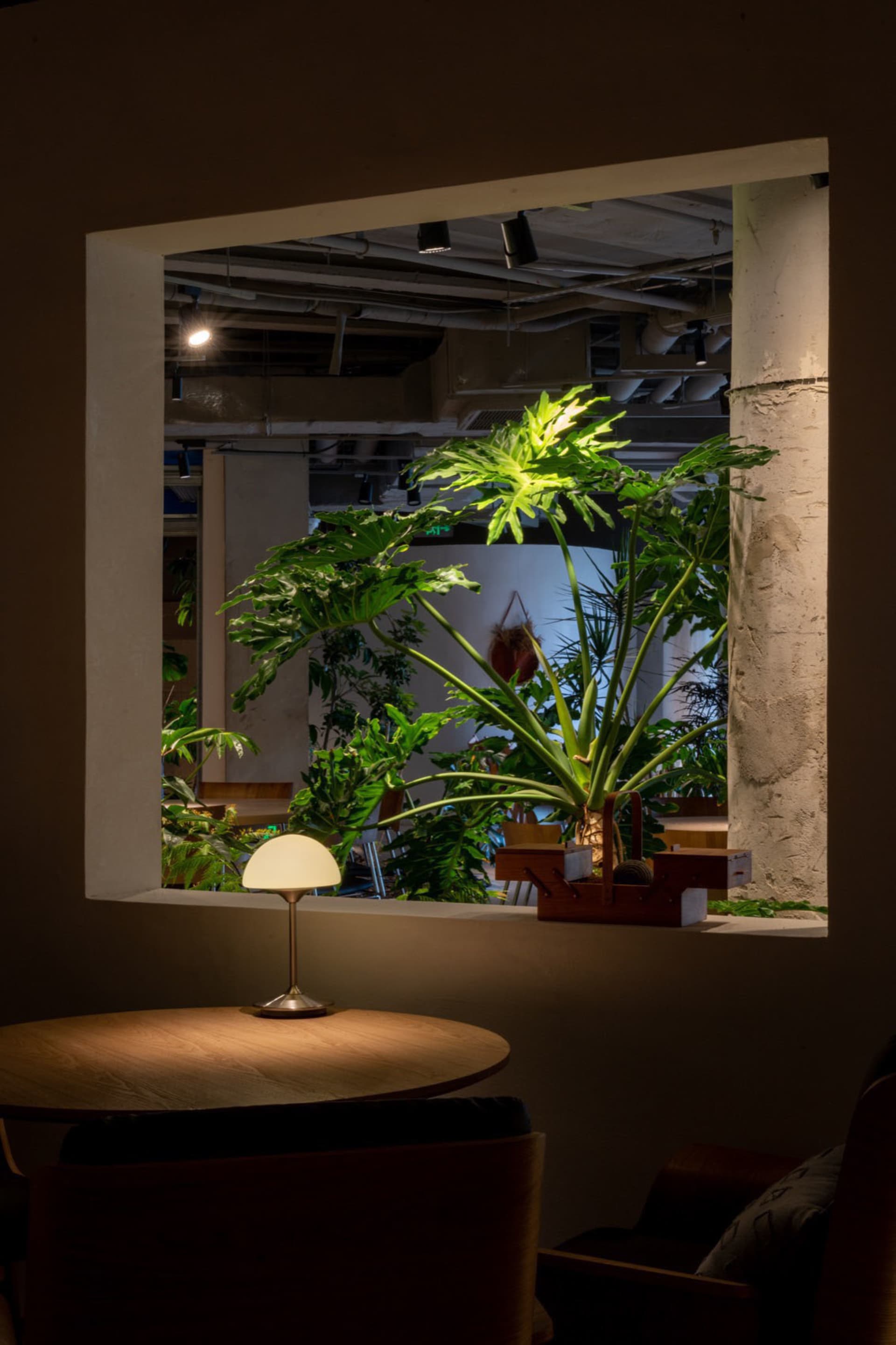 A warm and inviting room with potted plants and a chair, lit by natural sunlight through a large window