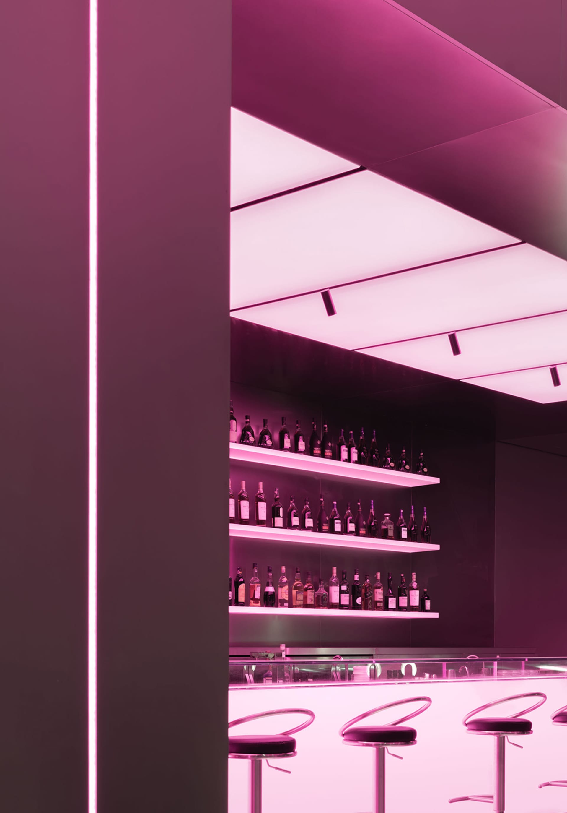 A lively bar area with numerous bottles displayed on shelves in a visually appealing organized display, set against a vibrant pink color scheme