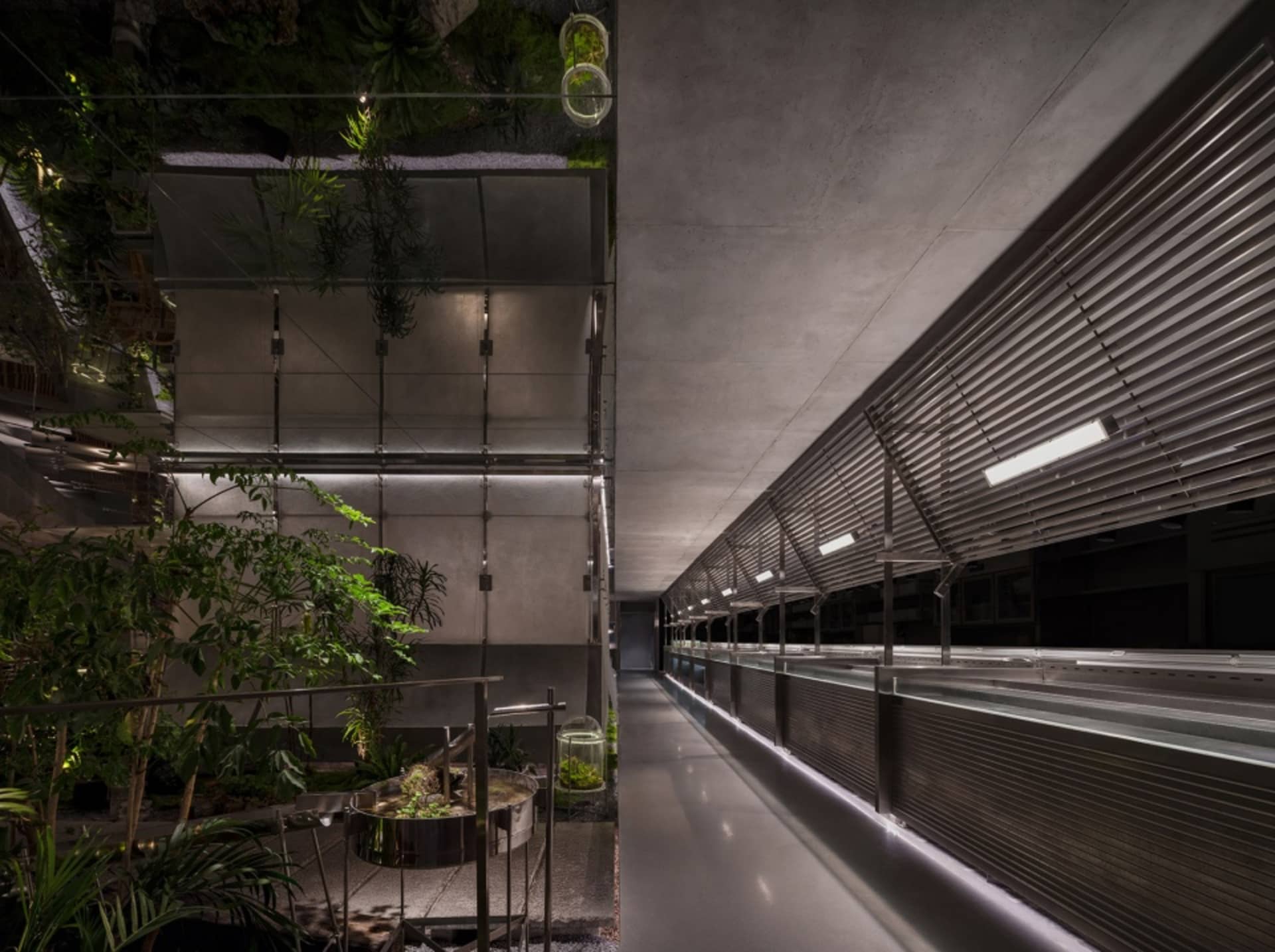 現代客廳空間，盆栽與地栽綠植交錯，環繞裝飾花瓶，融合室內外元素