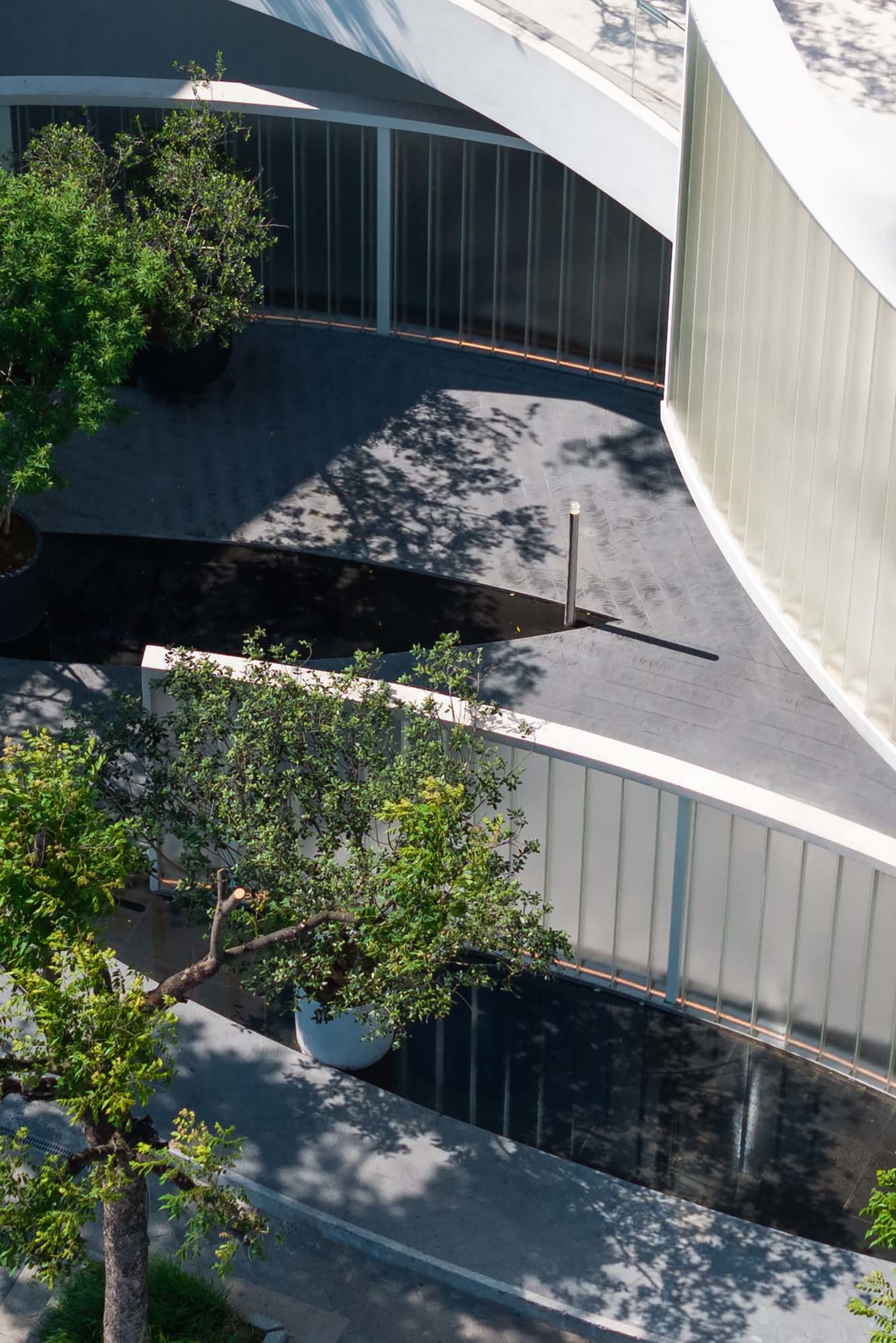A modern indoor space with a curved white building, surrounded by trees, featuring potted plants and a contemporary atmosphere