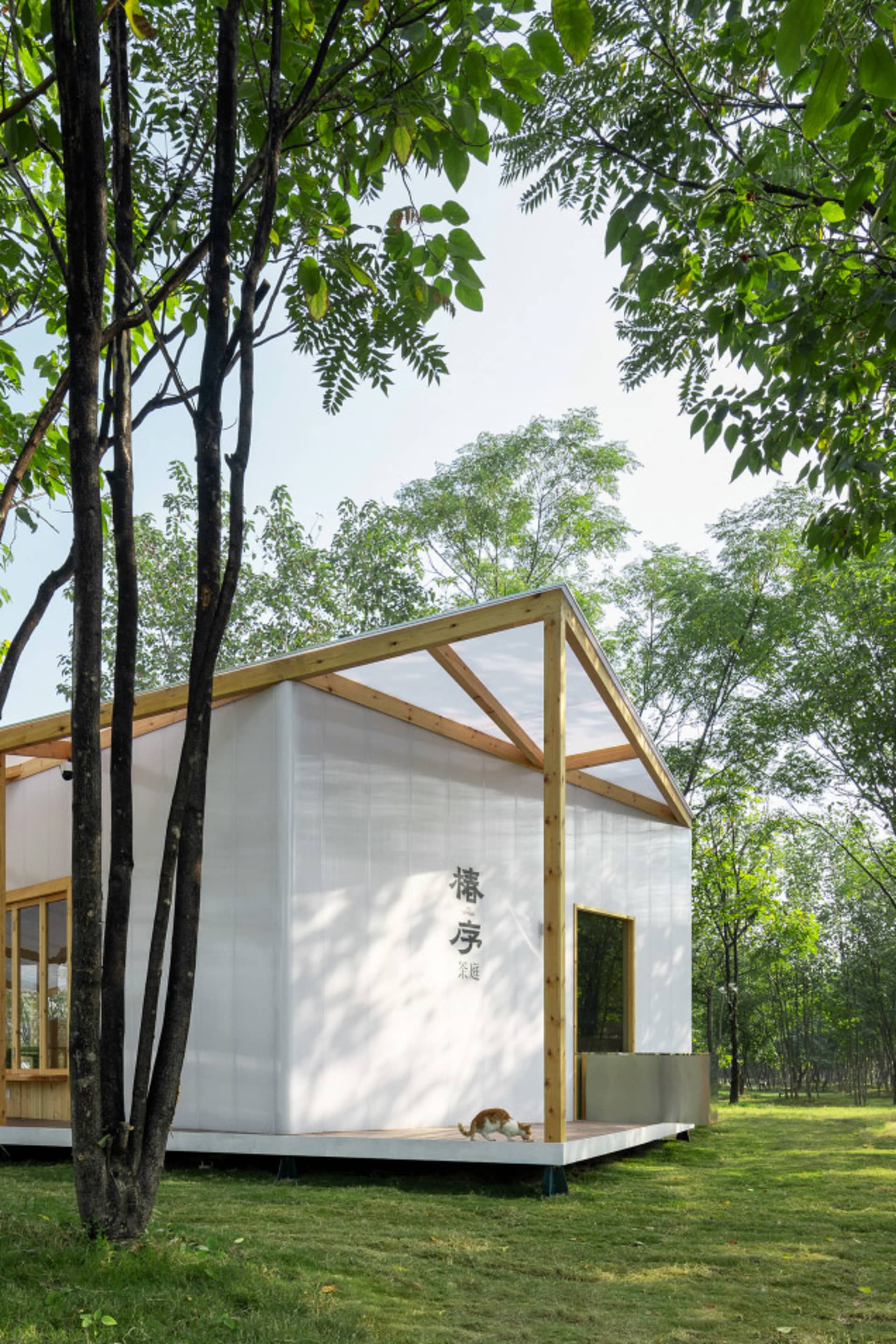 A serene Asian-style house with a white exterior, surrounded by trees, featuring a wooden door and window, with two chairs outside for relaxation