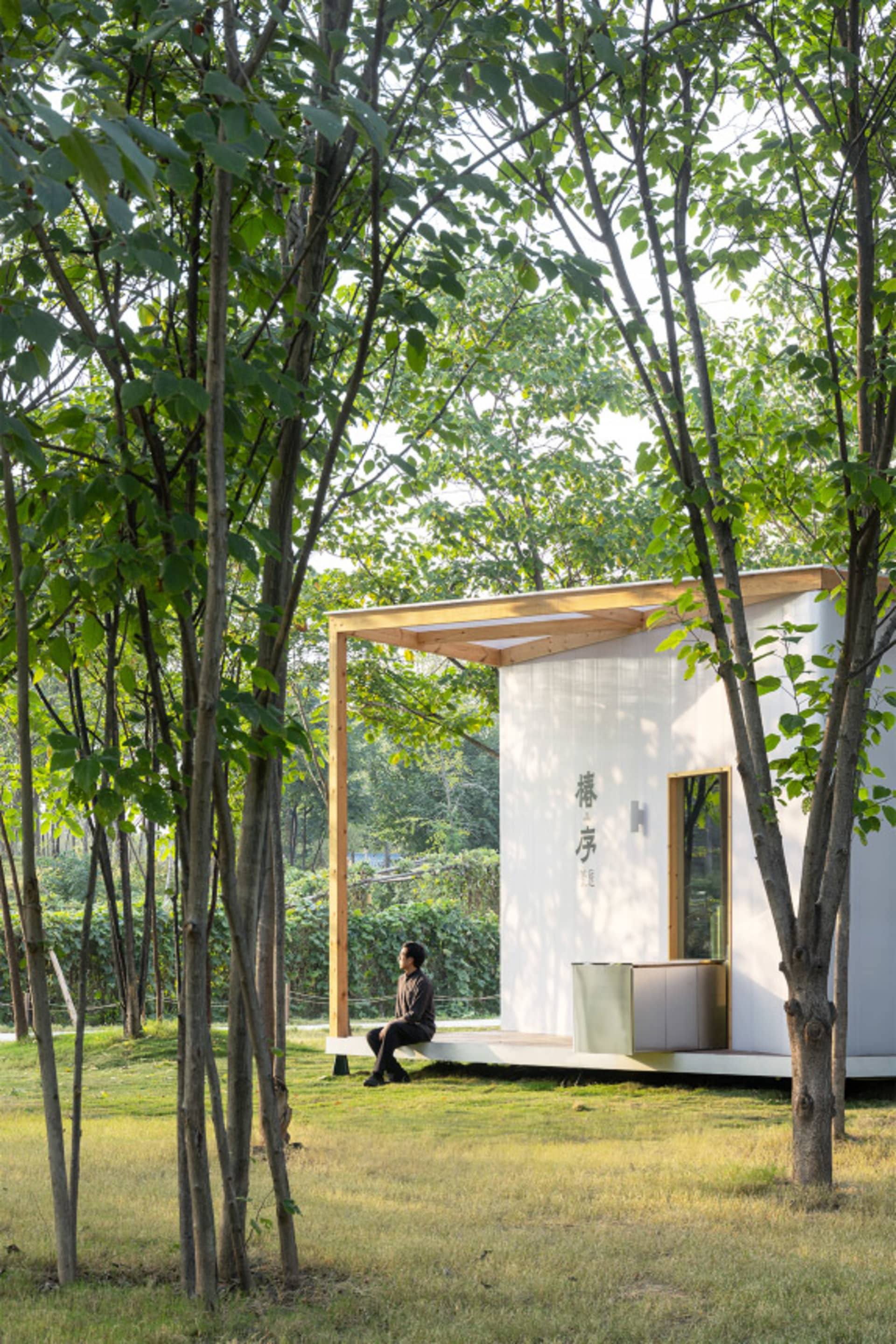 Serene Asian-style house interior with wooden walls and floors, featuring a mix of traditional and modern design elements, surrounded by trees