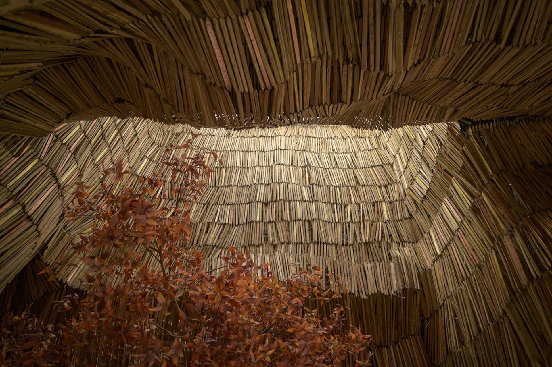 A cozy interior space with wooden walls, wooden floors, and scattered books, creating a warm and inviting atmosphere