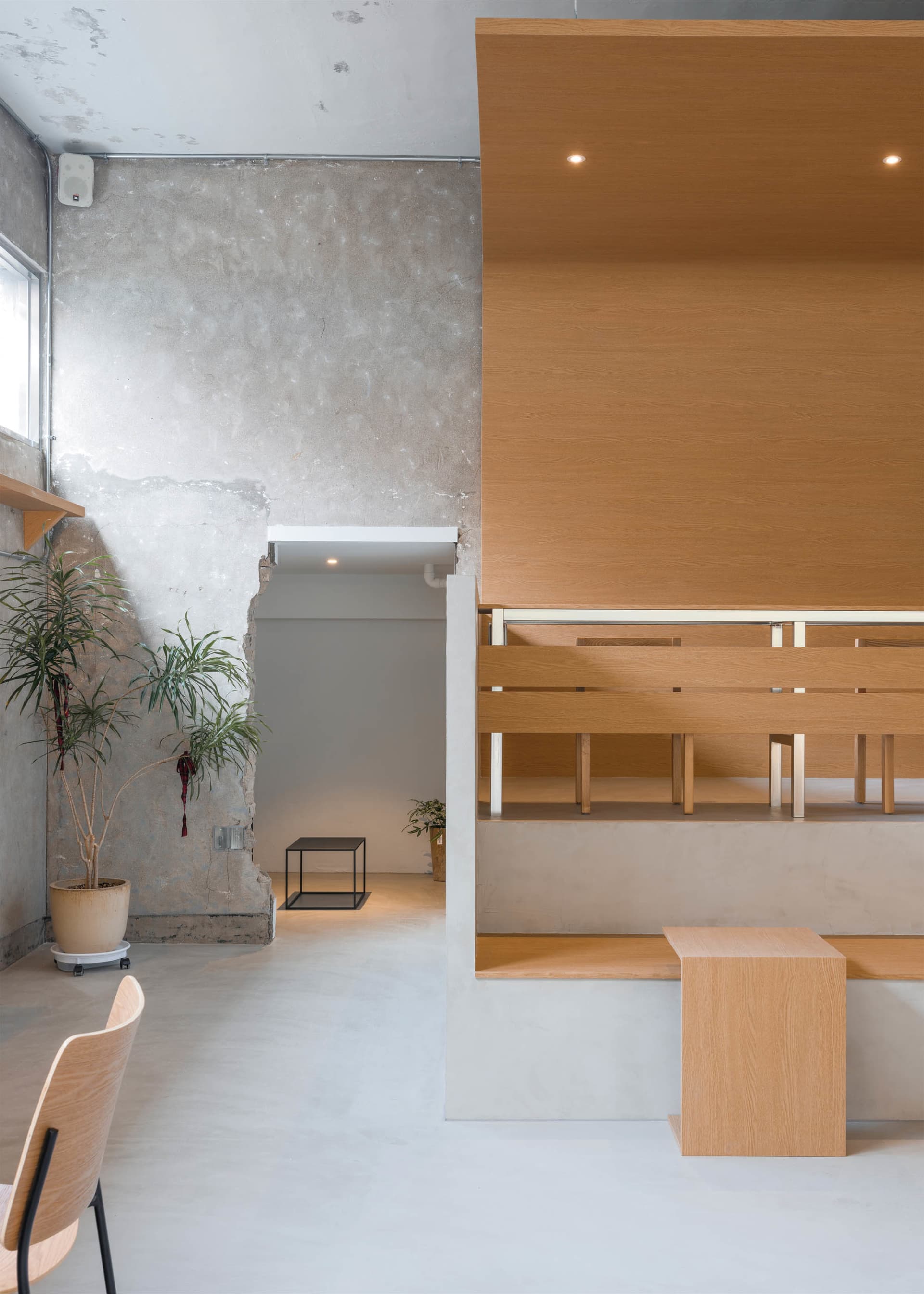 Warm and inviting room with wooden walls and floors, featuring two benches and three potted plants
