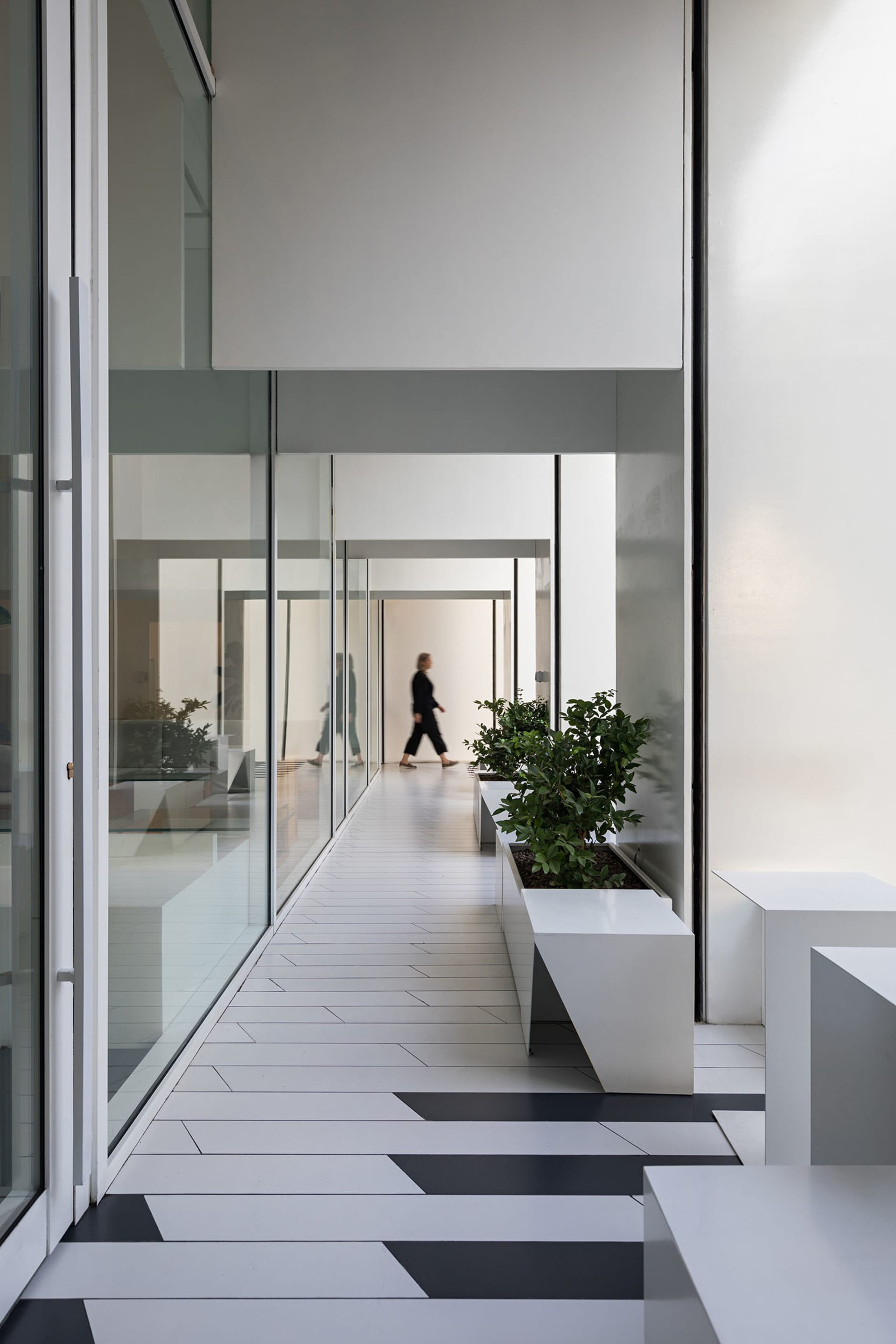A calm and inviting lobby with glass doors, potted plants, and two benches
