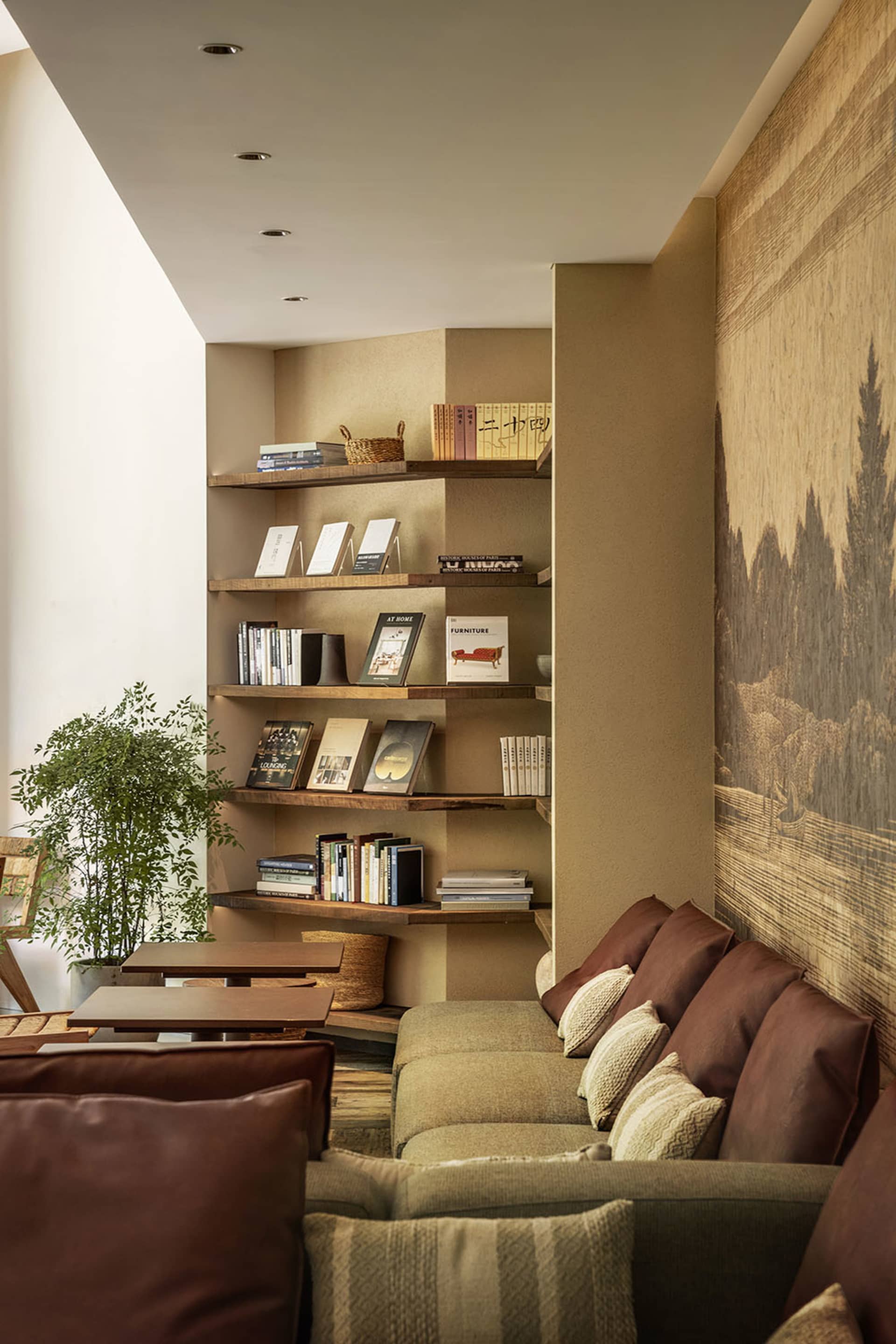 Cozy modern living space with brown walls, a couch, bookshelves, and a potted plant, perfect for relaxation and reading