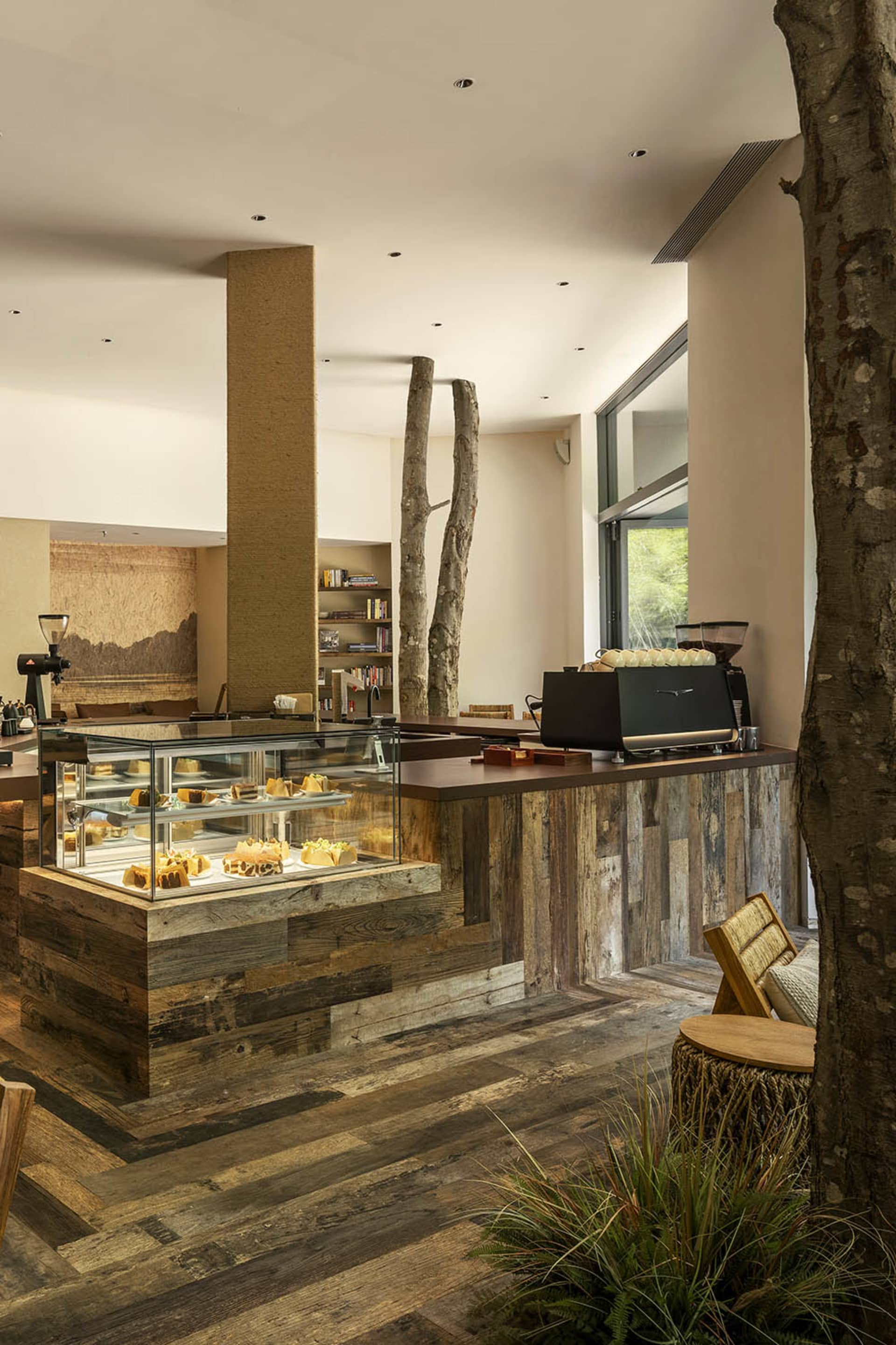 Warm and inviting cafe interior with a wooden countertop, glass display case, and books, featuring various desserts and a cozy atmosphere