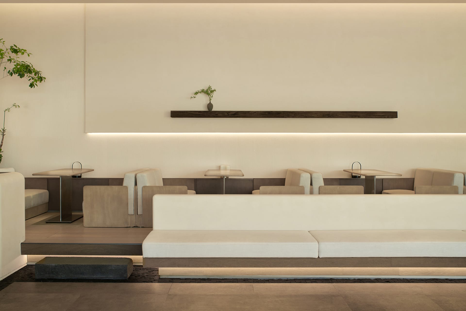 An empty restaurant interior with white walls, tables, chairs, and a potted plant in the center, creating a clean and inviting atmosphere