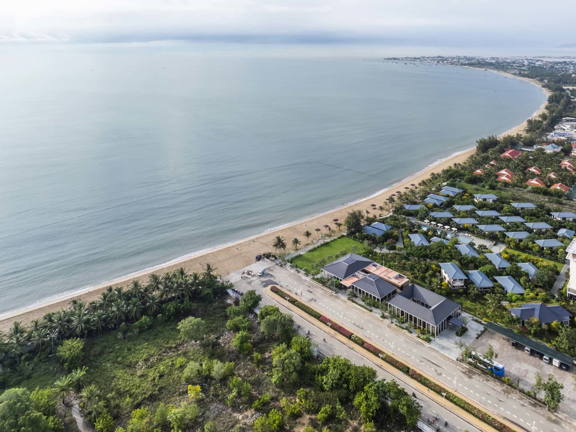 Aerial view of a serene coastal neighborhood with diverse houses surrounded by lush greenery and the ocean