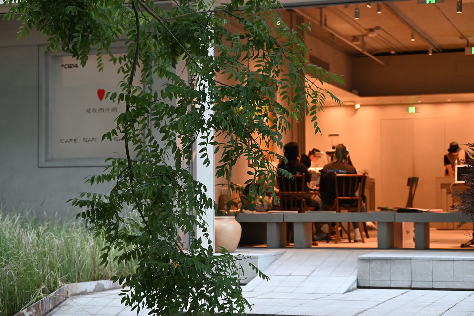 Casual dining area with people seated at a table, surrounded by chairs and potted plants, with cups on the table suggesting a meal and drinks