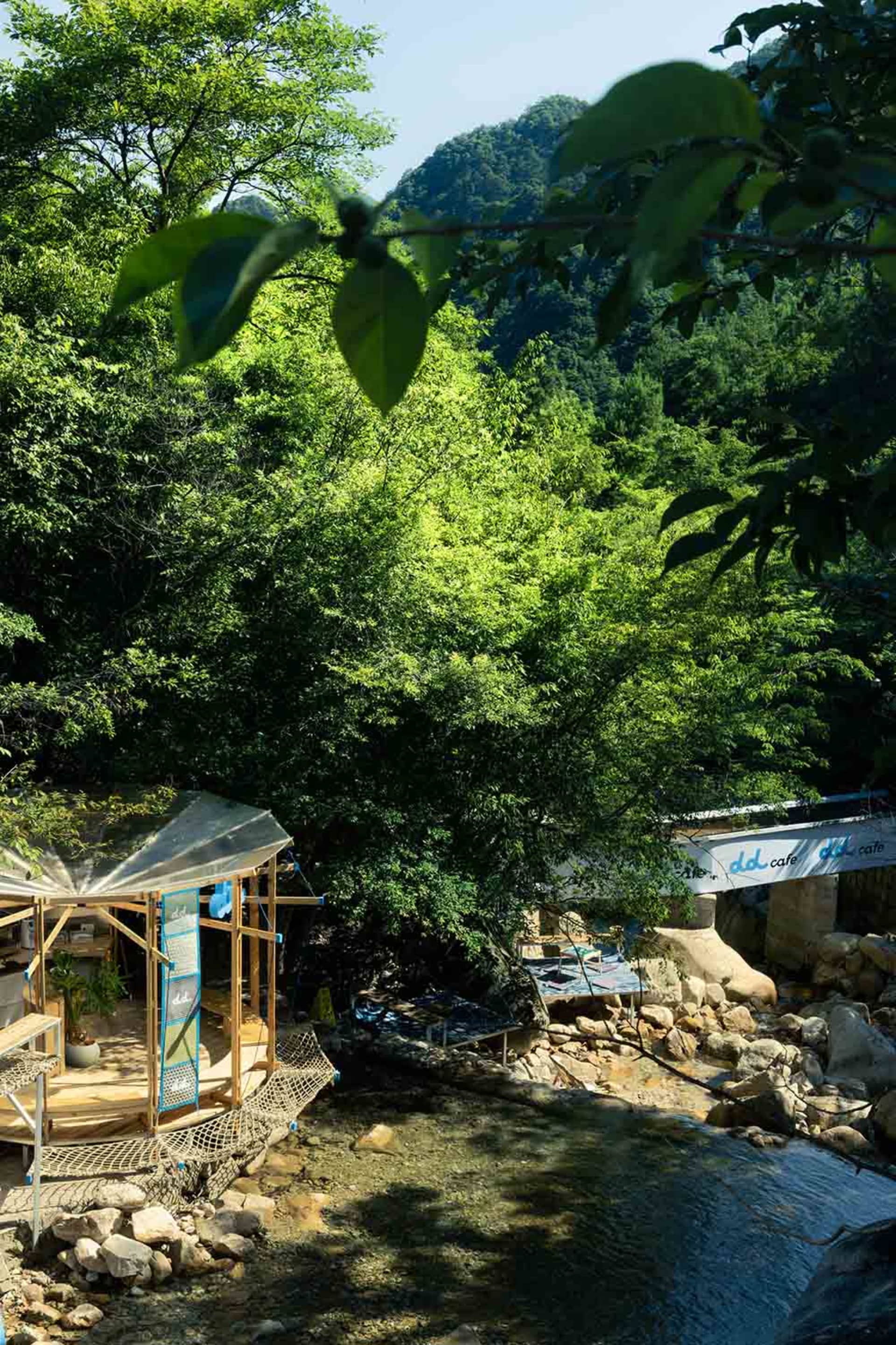 一座被樹木與水環繞的木造建築，搭配盆栽植物，營造寧靜氛圍