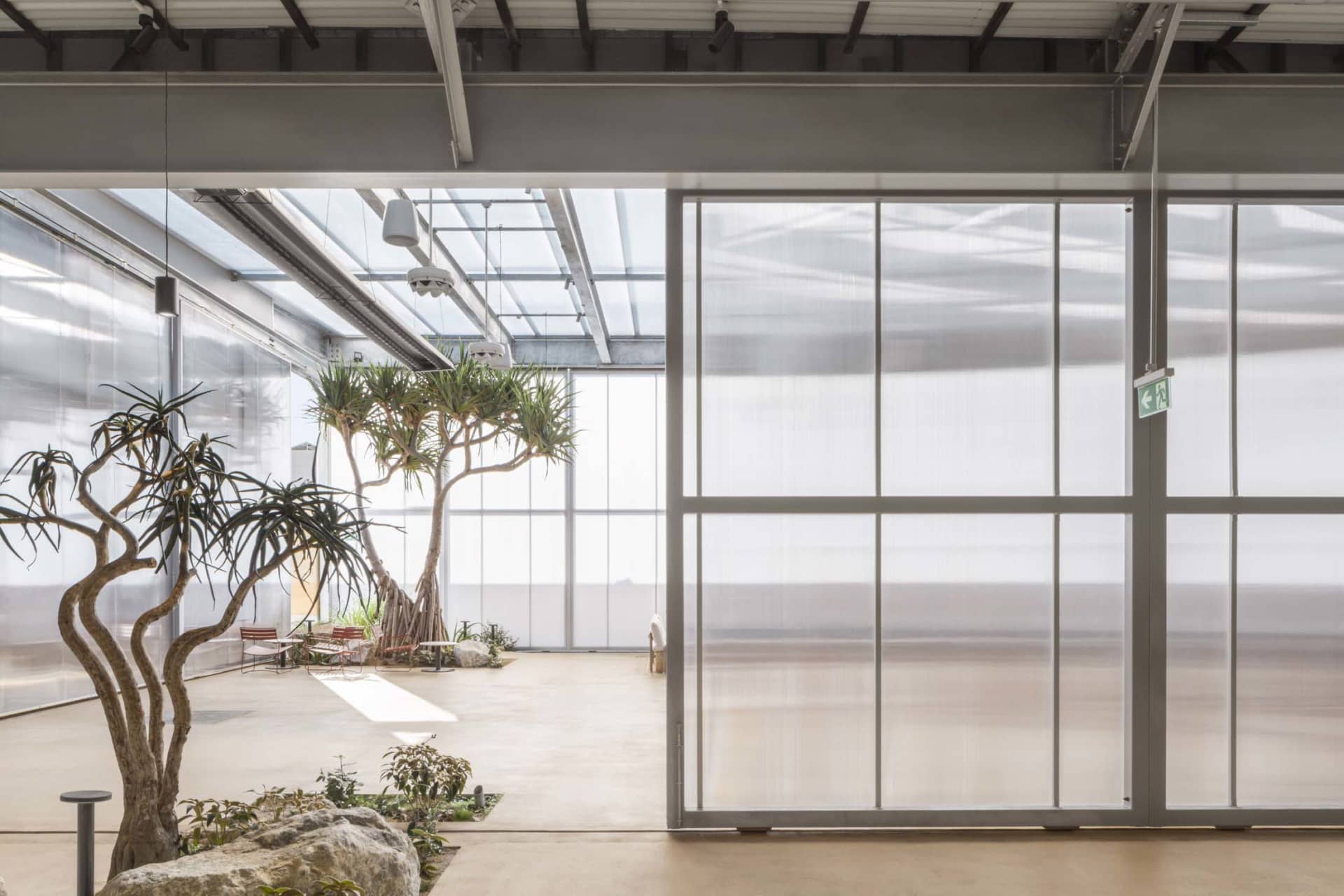 A cozy indoor space with potted plants, two benches, and a warm atmosphere, blending living area and garden elements