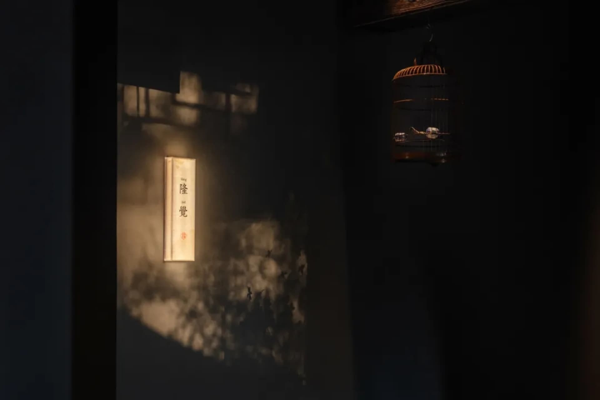 A dimly lit room with a bird cage on the wall containing two birds, one near the center and one towards the right