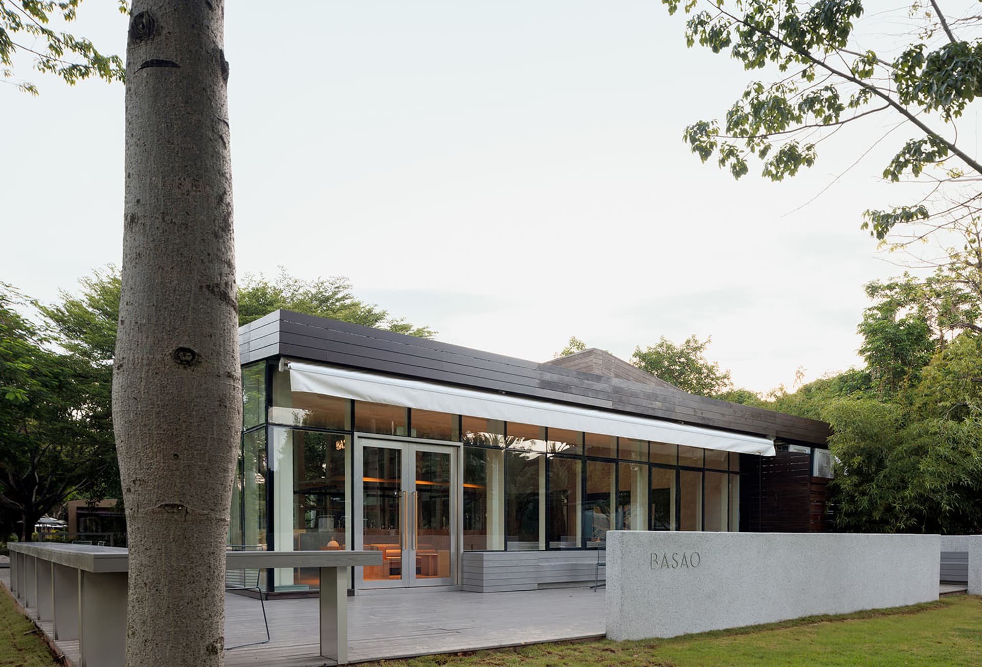 A modern indoor space with a large window surrounded by trees, featuring clean lines and minimalistic design elements, with glass and wood visible through the window, and natural light from sunlight filtering through the trees
