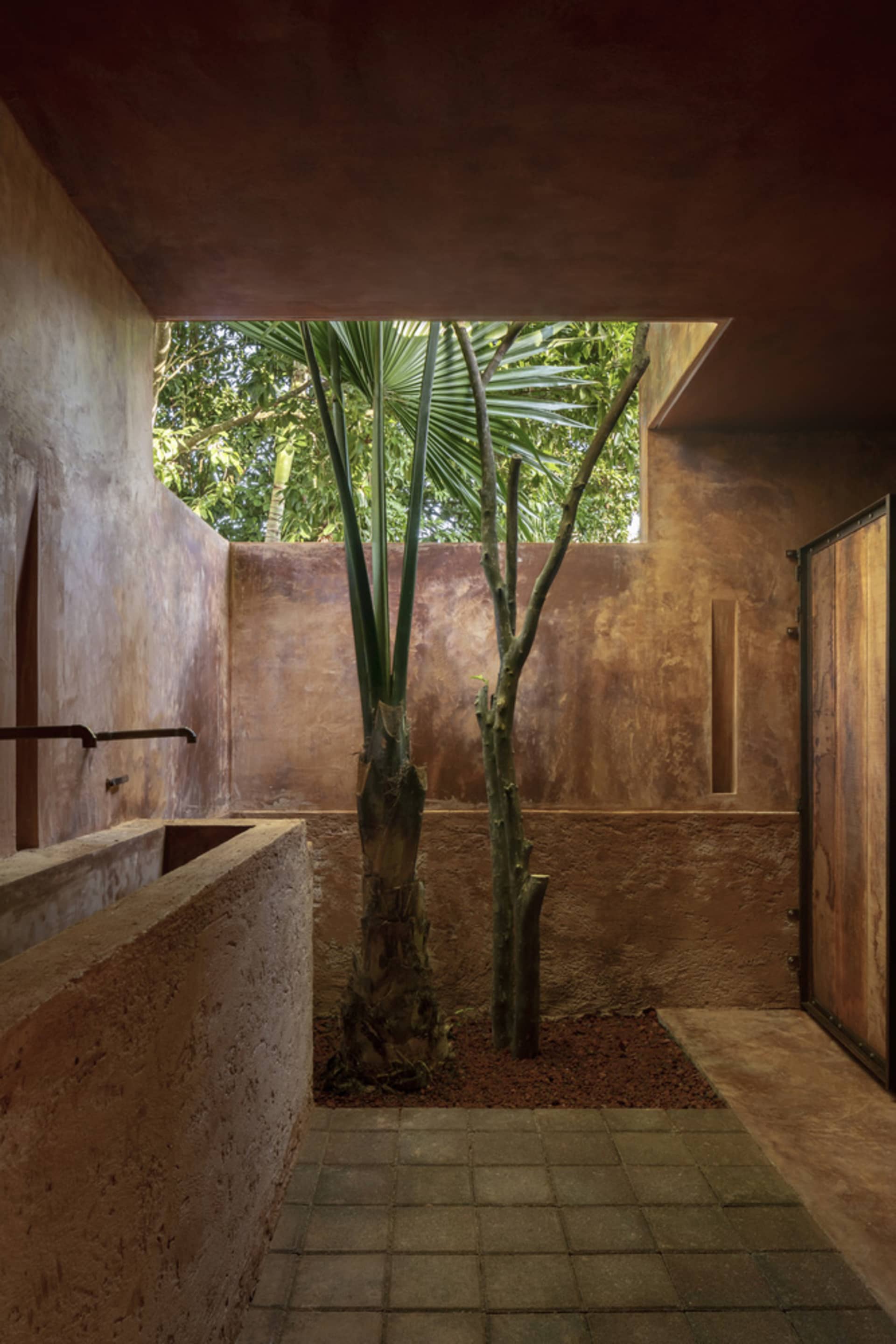 A rustic living space with a palm tree, stone wall, and sink, featuring a unique blend of living and bathroom areas