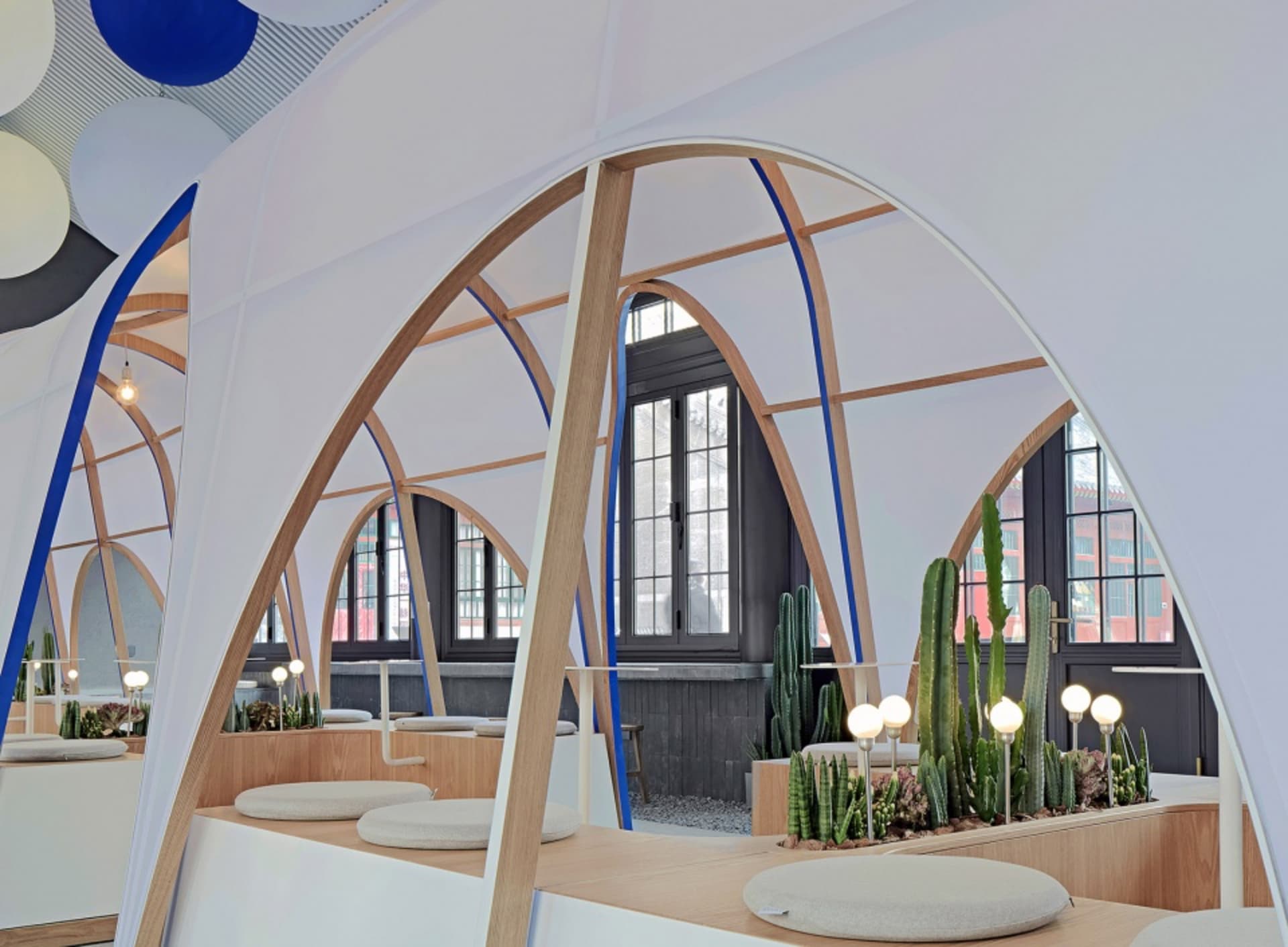 Modern cafe with a white dome structure, wooden accents, potted plants, and cacti, creating a clean and inviting atmosphere for seating and socializing