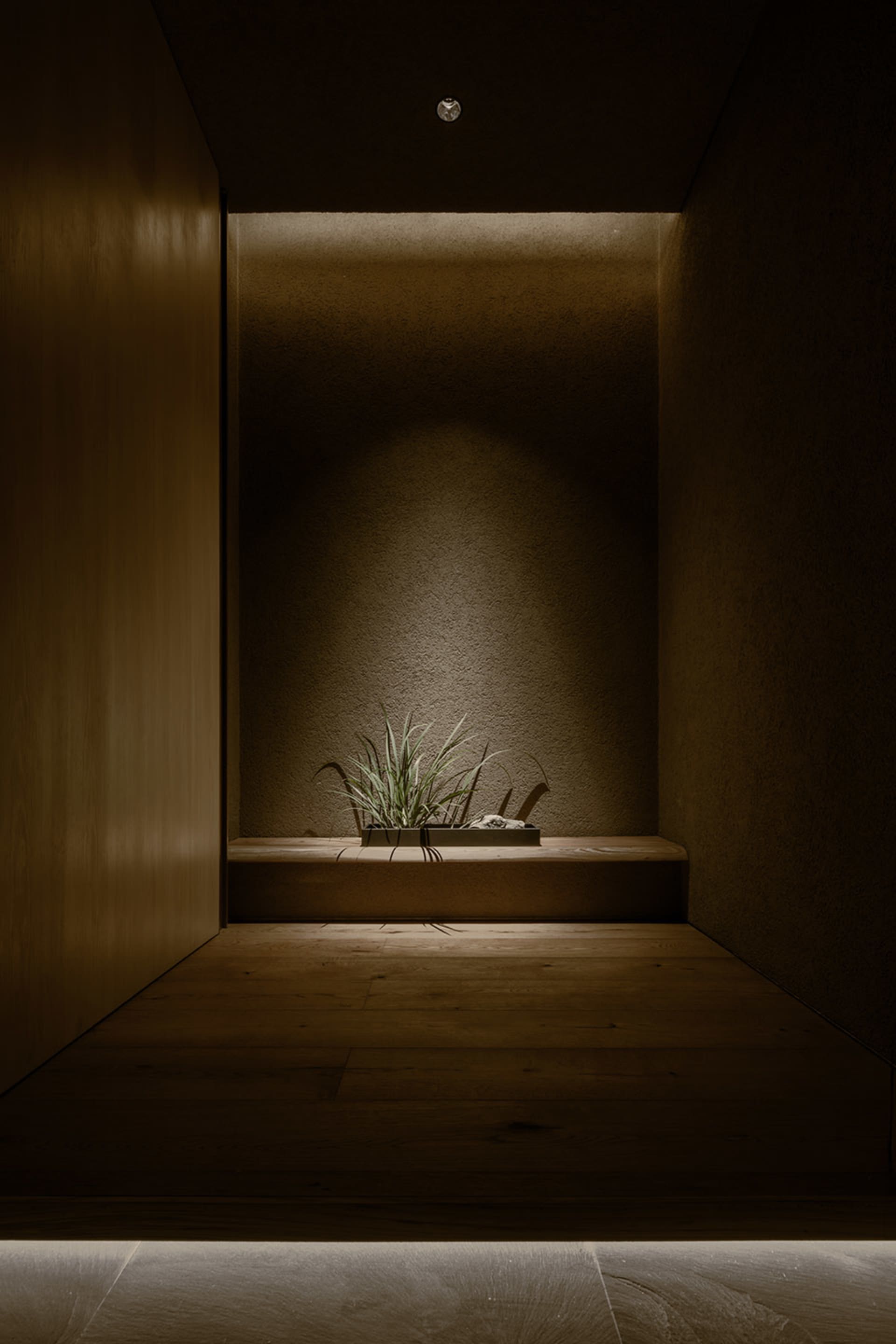 A dimly lit indoor space with a wooden bench, two potted plants, and a doorway