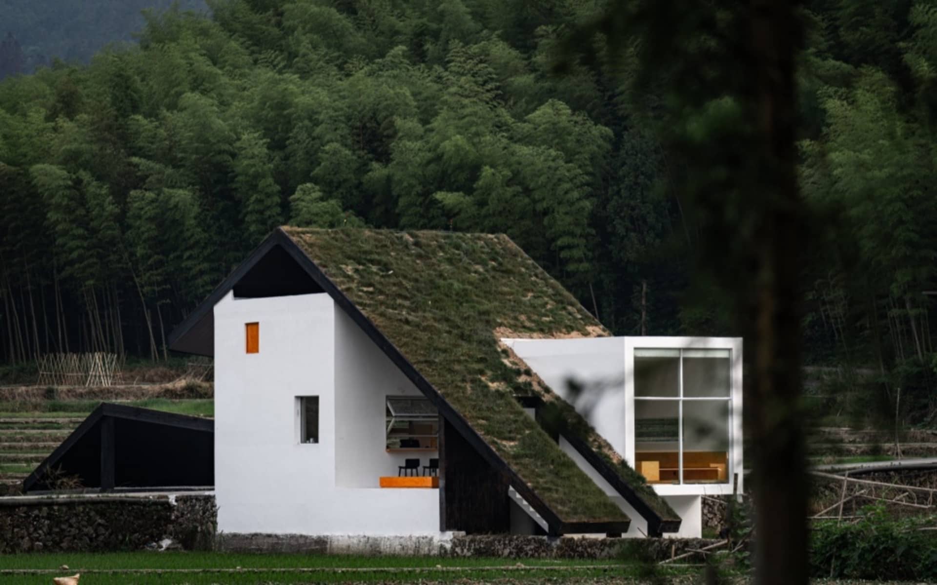 白色外牆、黑色屋頂與綠色屋頂的現代住宅，周圍環繞樹木，側邊有兩扇窗戶