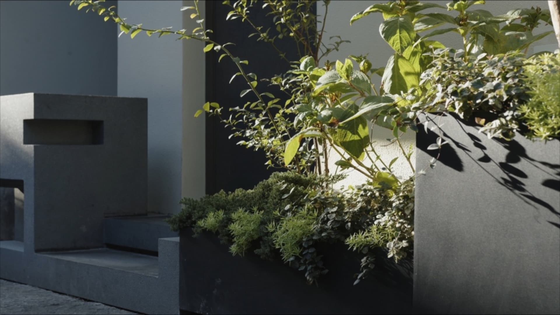 A stone ledge features a visually appealing arrangement of potted plants in various sizes, with some having green leaves and others appearing dormant, creating a relaxing and inviting environment