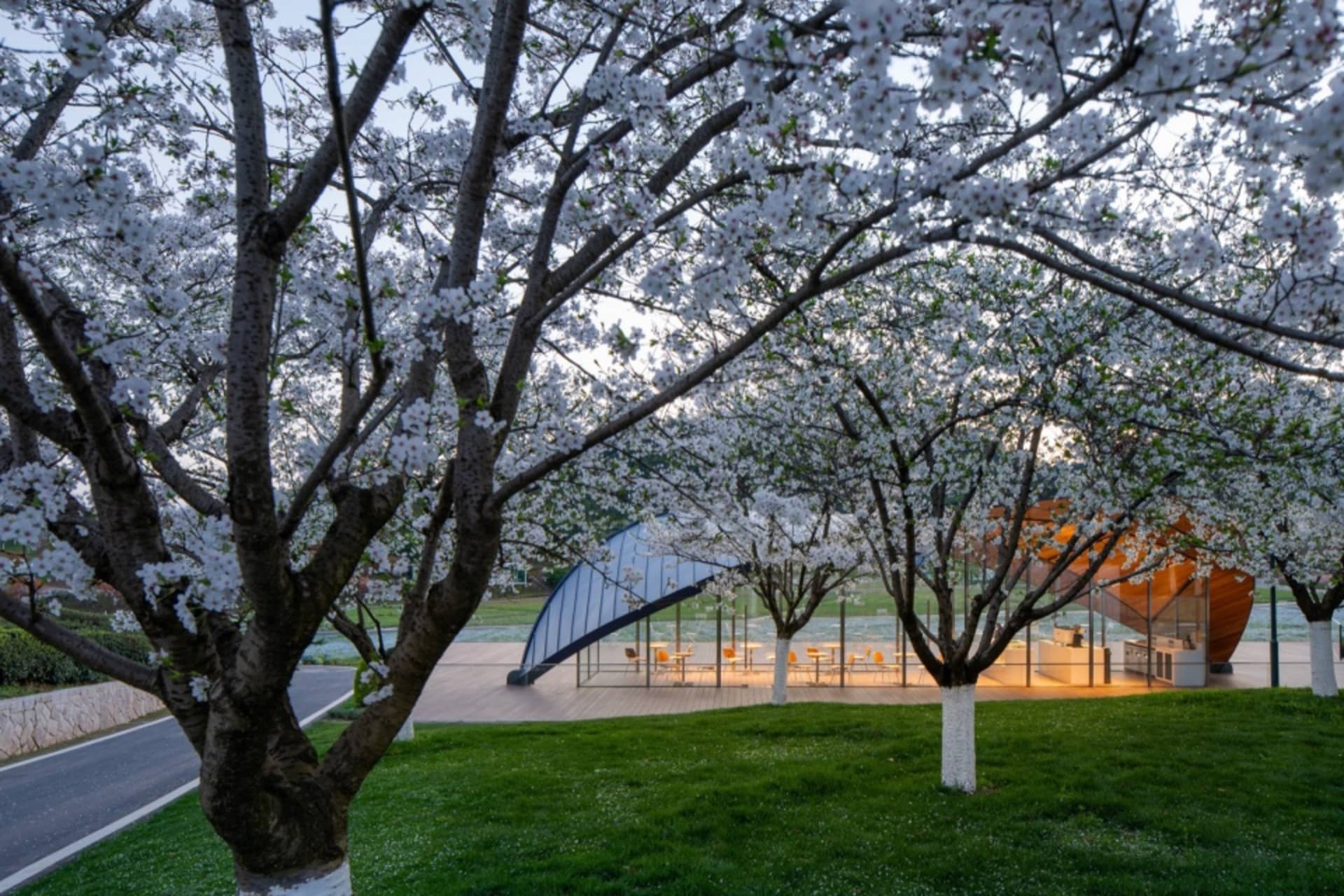 公園場景，背景有大型建築，周圍環繞樹木，場地內散置多張座椅
